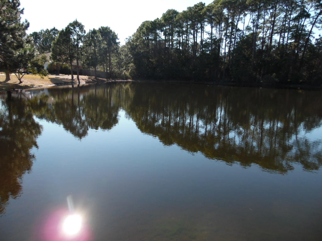 BAYSIDE S/D - Residential