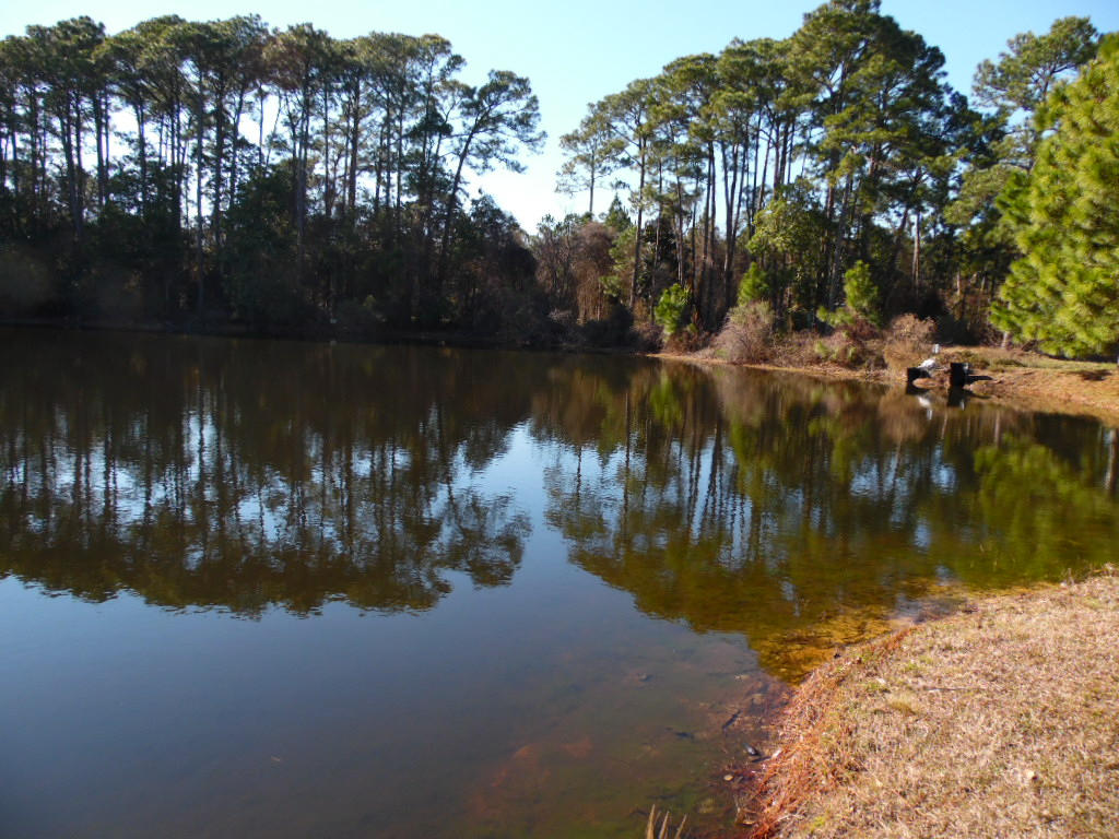 BAYSIDE S/D - Residential