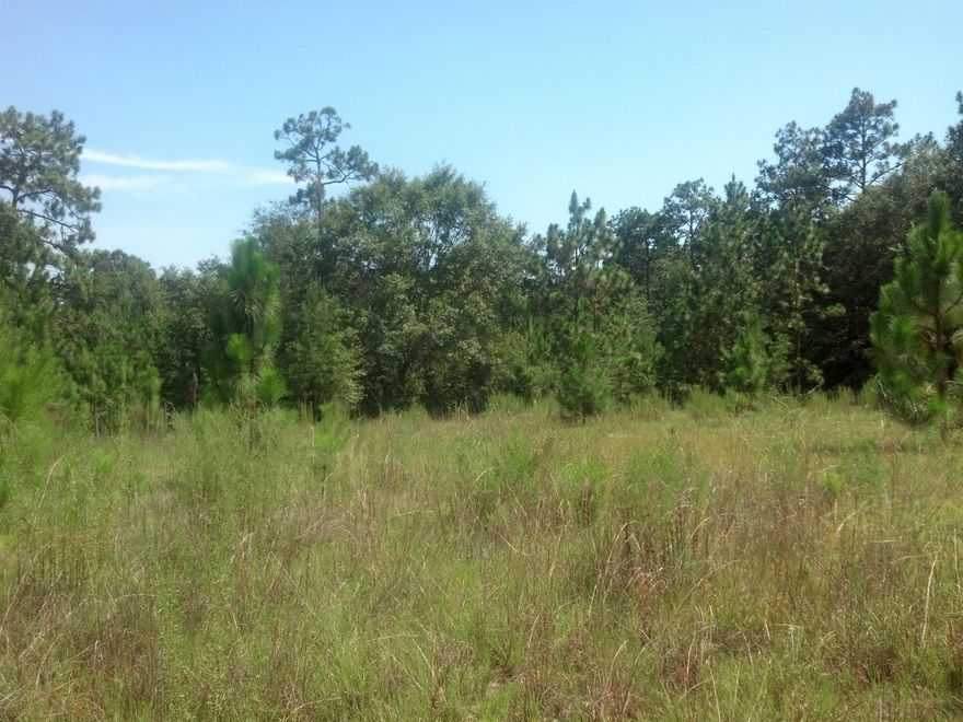 Motivated Seller!!! Looking for quiet get a way to build your dream or retirement home? Or just a place to bring your horses and enjoy the country life. Then this more than 22 acres of beautiful wooded land might be right for you. There are about 2 acres cleared in front for a home site already, the rest of the land is wooded, with mature pines and hardwoods on the property. Come and take a look today! Buyer to verify lot dimensions, zoning and all information deemed necessary.