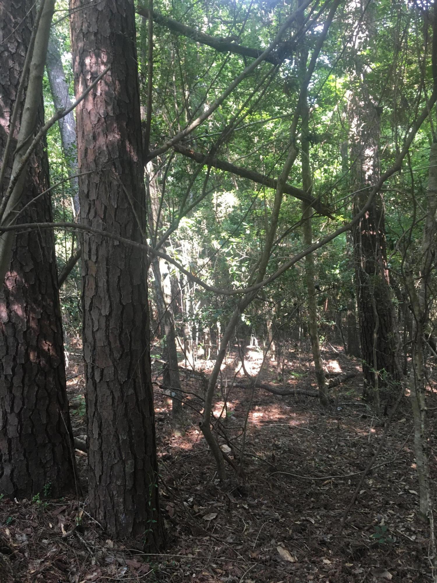 metes and bounds - Land