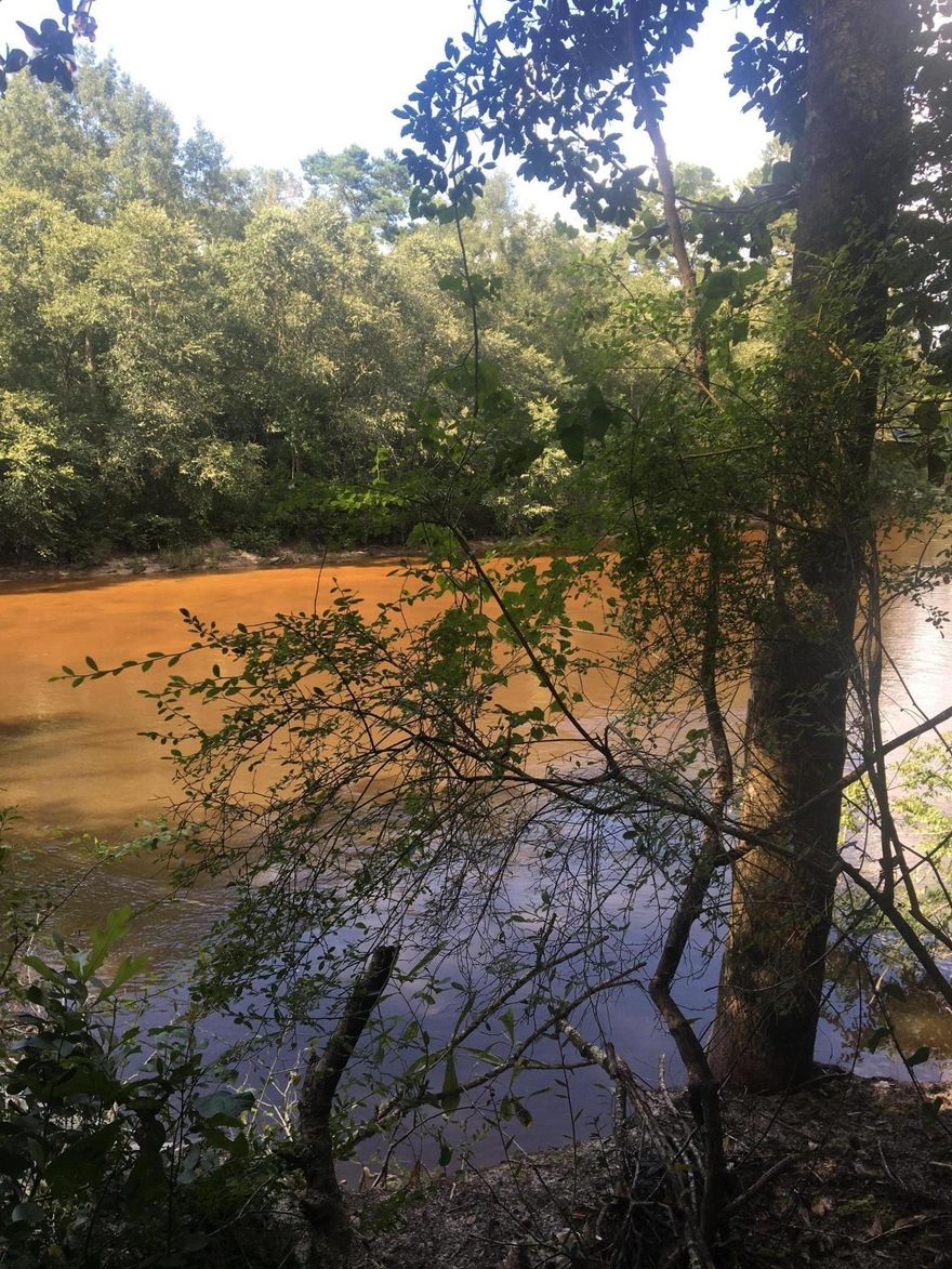 Beautiful waterfront property on Shoal River NOW AVAILABLE! 1.4 acres, with a stream running through it's center, and electricity is available! The property is bordered by timberland and is very private. Priced below market value... make an offer today.