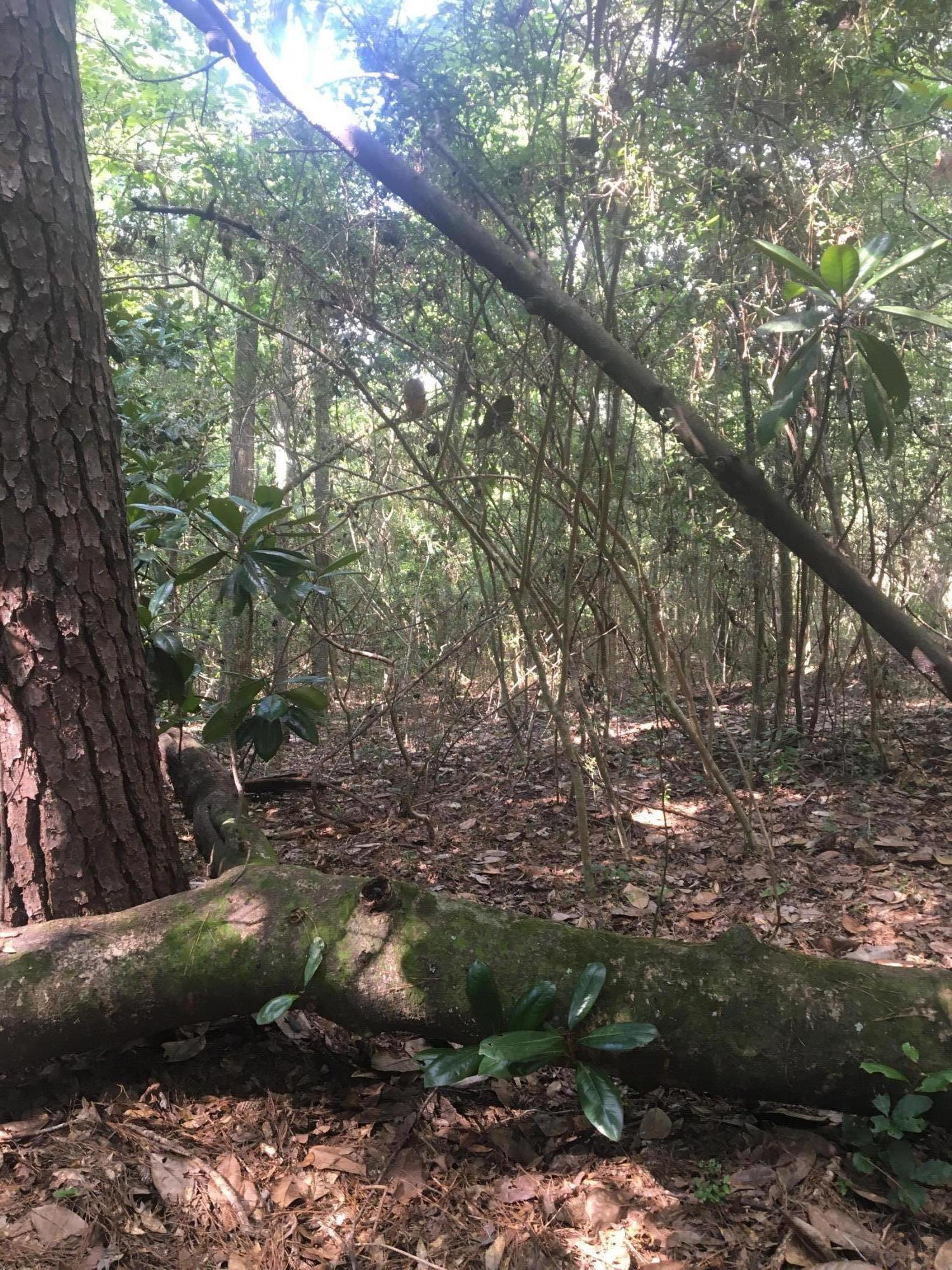 metes and bounds - Land