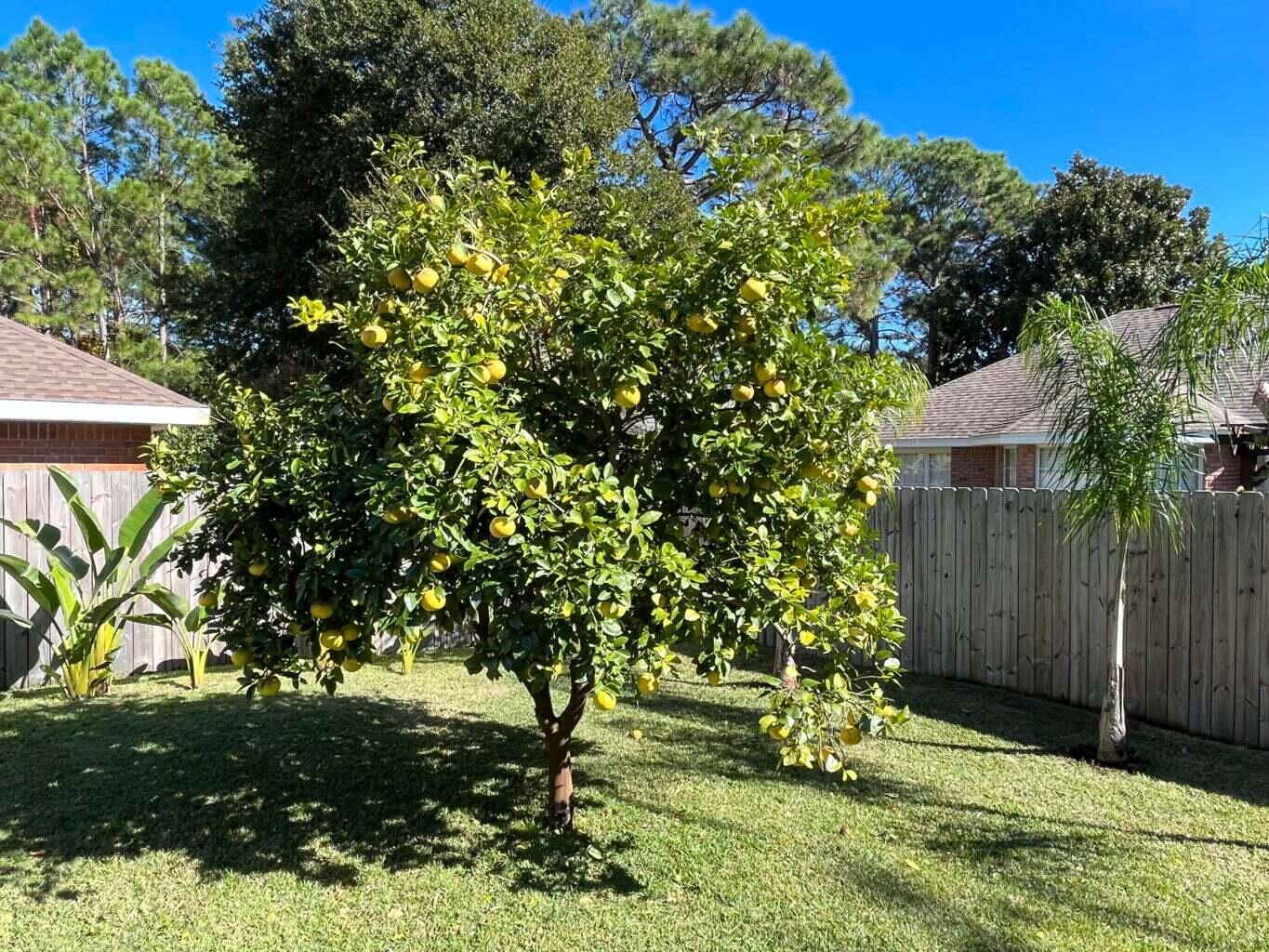 HIDDEN PINES S/D - Residential Lease