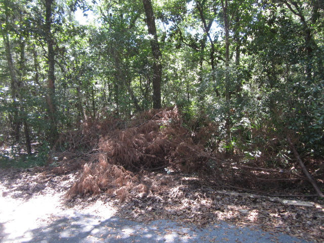 LAKE SHARON ESTATES - Land