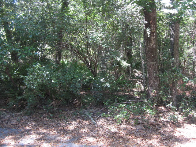 LAKE SHARON ESTATES - Land