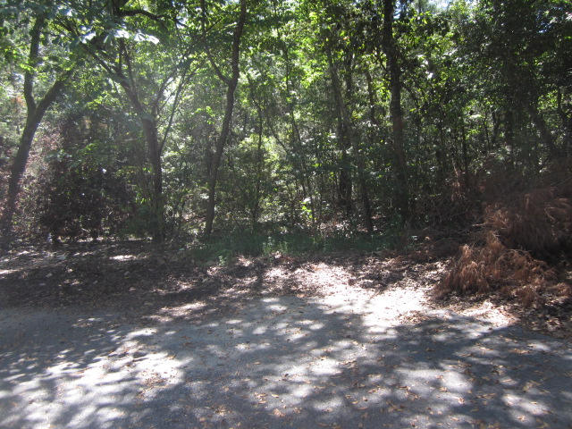 LAKE SHARON ESTATES - Land