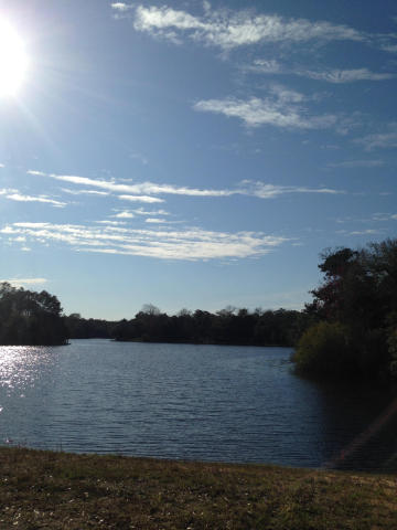 LAKE SHARON ESTATES - Land