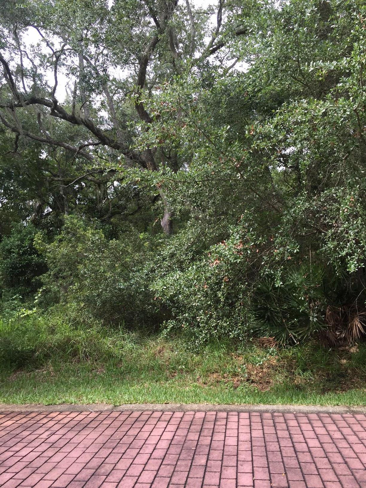 GRAYTON BAYOU - Land