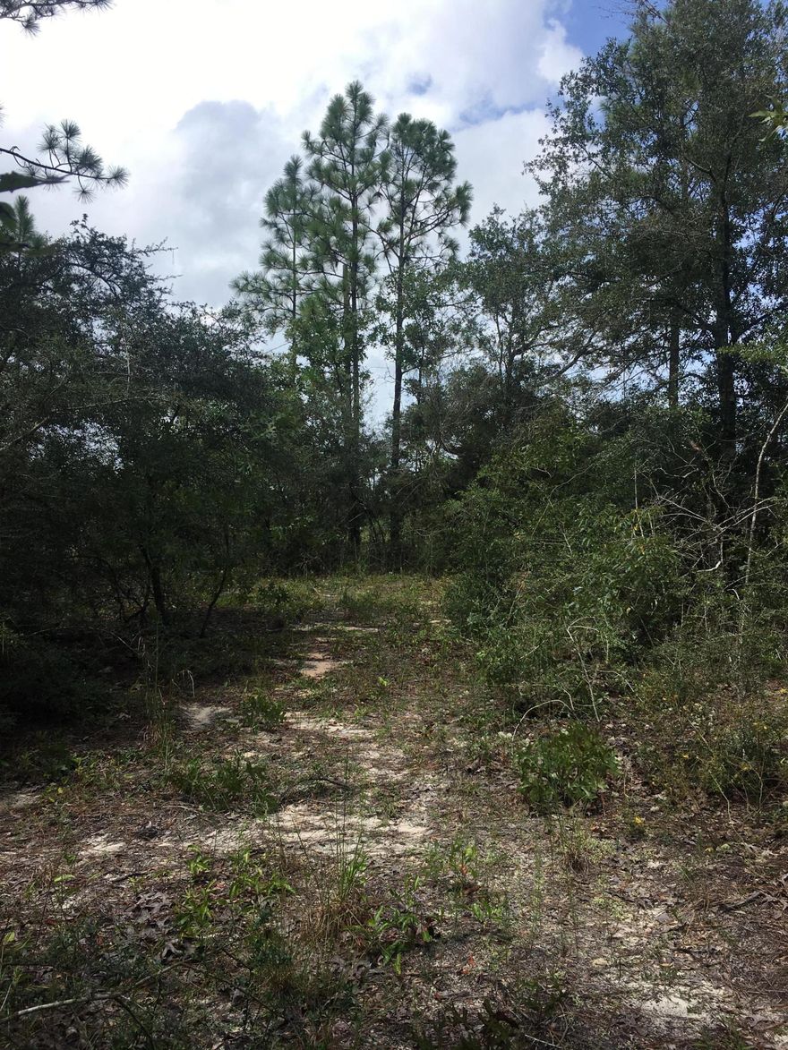 Nice parcel of land North of Hwy 90 in a secluded neighborhood. This property is over 5 acres of natural, but easily accessible, woodlands, currently zoned residential.