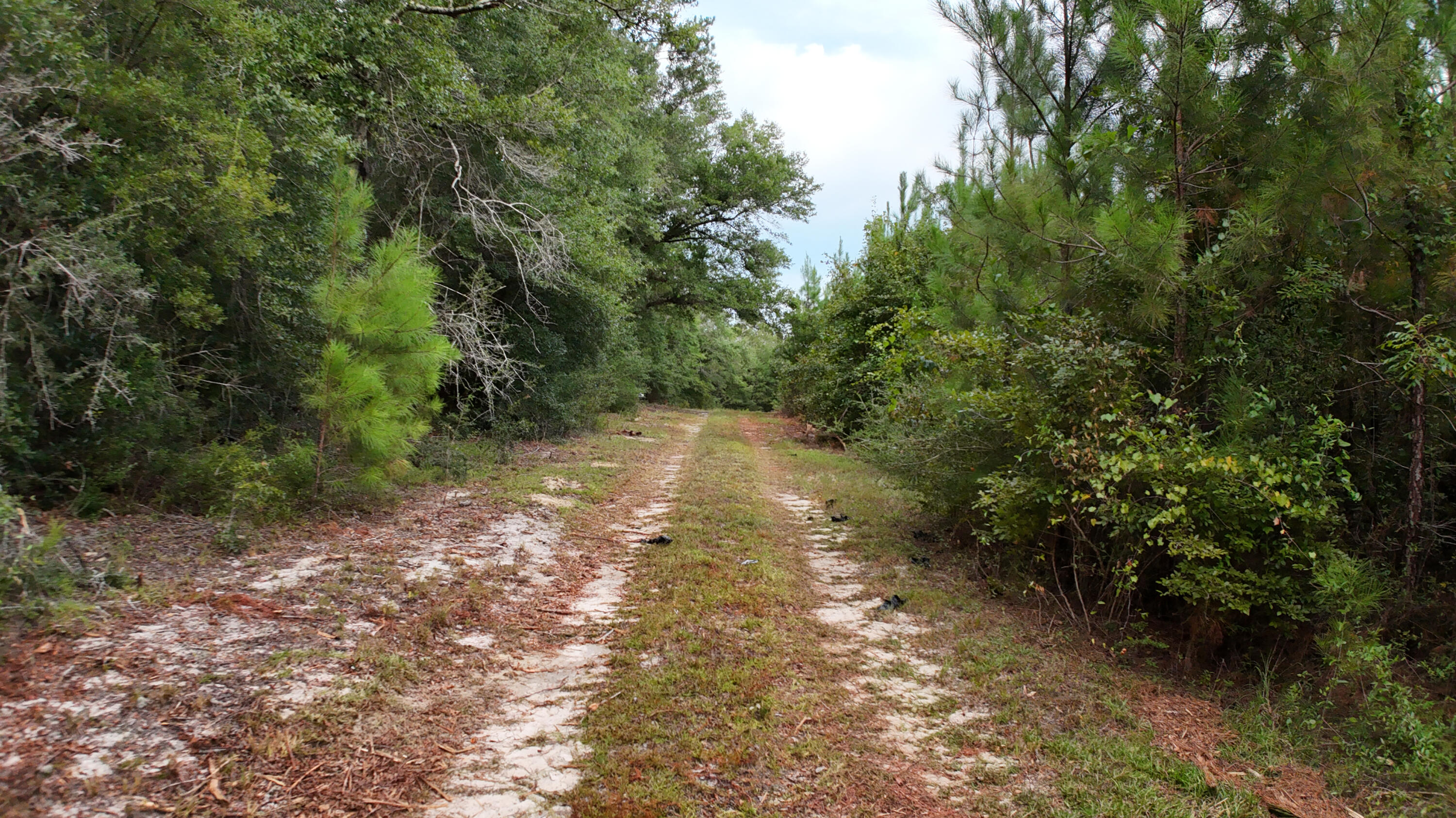 METES & BOUNDS - Land