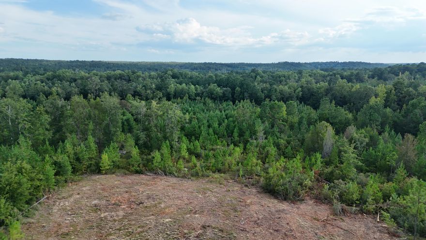 This expansive 150-acre parcel of vacant land, ideally located near Highway 90 and the Mossy Head exit off Interstate 10, presents an exceptional opportunity for development or investment. The property offers convenient access to major highways, with utilities such as public water and electricity readily available.Relax by the creek that flows through the land, and enjoy the peaceful sounds of running water in complete privacy. For hunting enthusiasts, this property provides the unique convenience of hunting in your own backyard. Whether you're looking for a secluded retreat or a versatile investment, this land has it all!