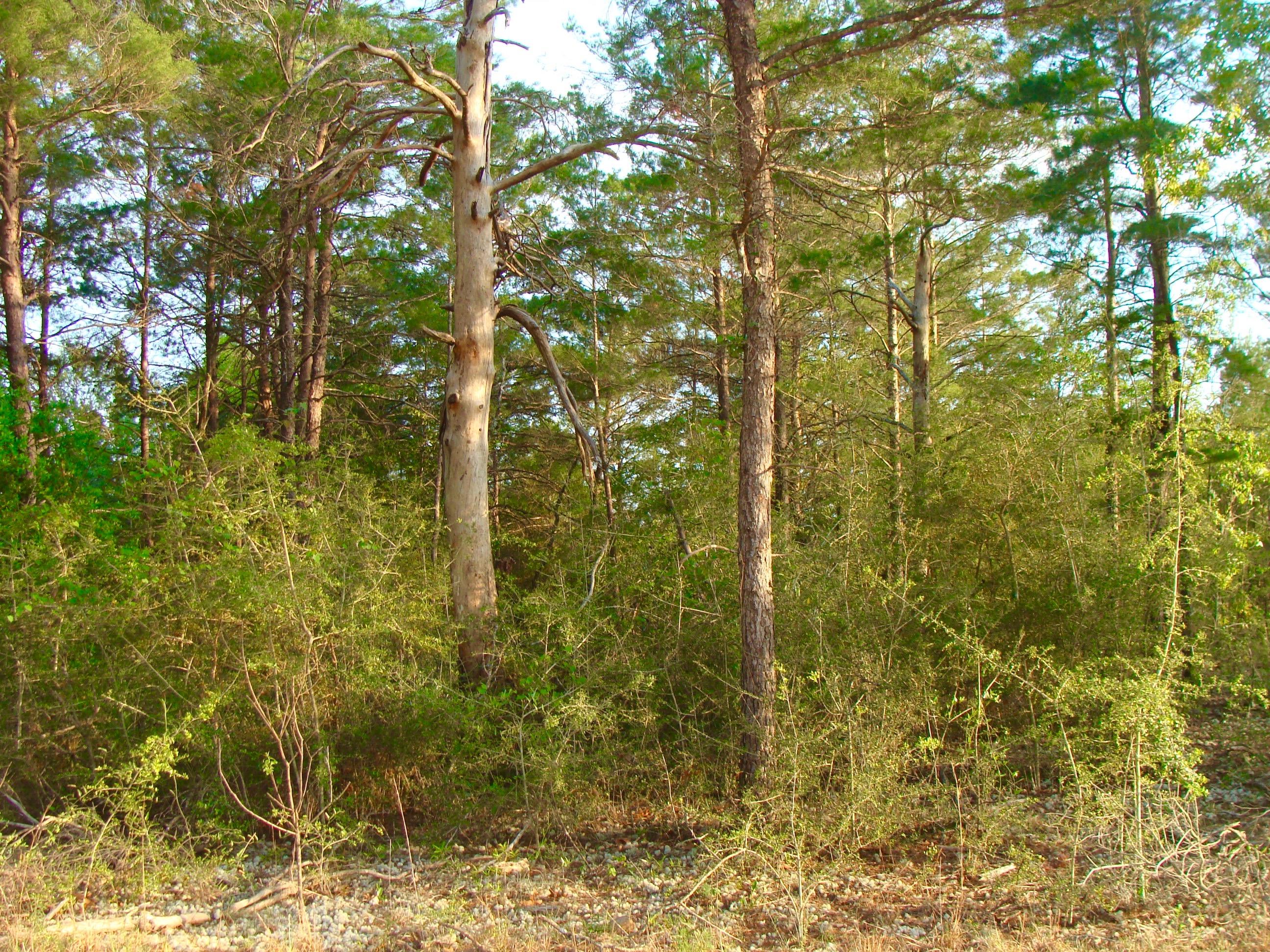 OAKWOOD HILLS UNIT 3 - Land