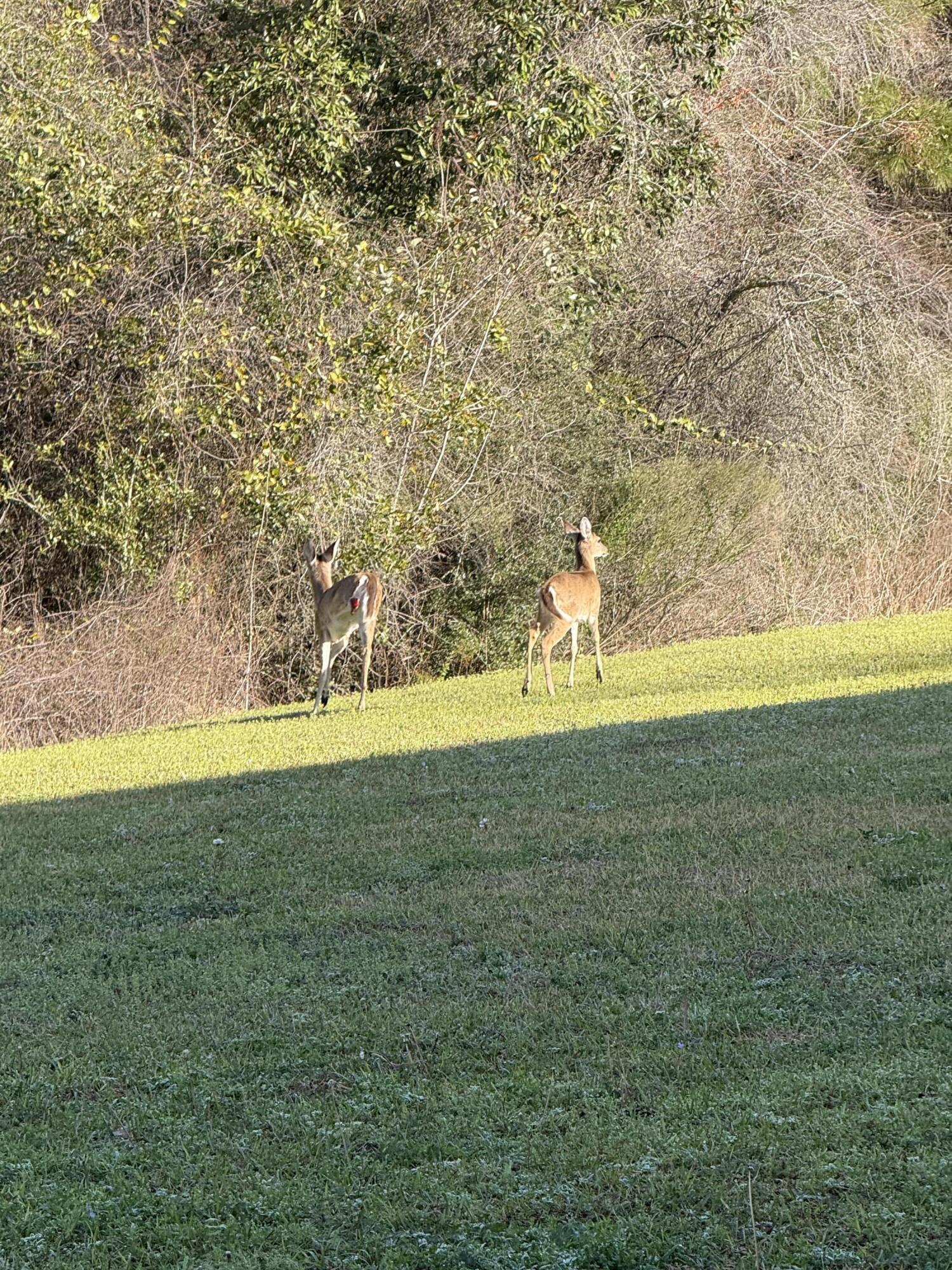 EAGLES LANDING S/D - Residential