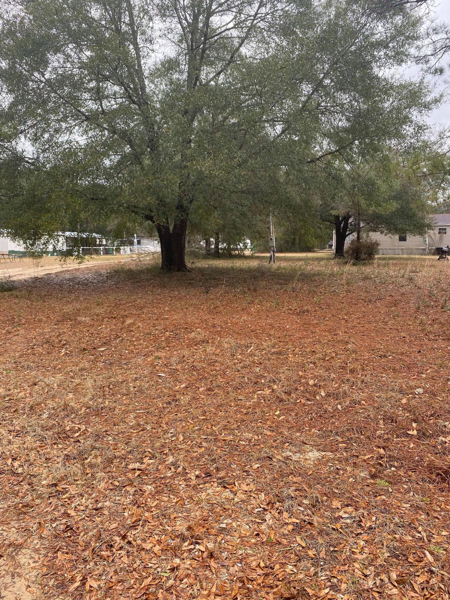 Vacant land ready for a new home! This attractive corner lot in a quaint neighborhood is perfect to build a home or to place your mobile home. The lot is .29 acres and just off Hwy 90. There are just enough trees for shade during the hot summers. Call for a showing today.