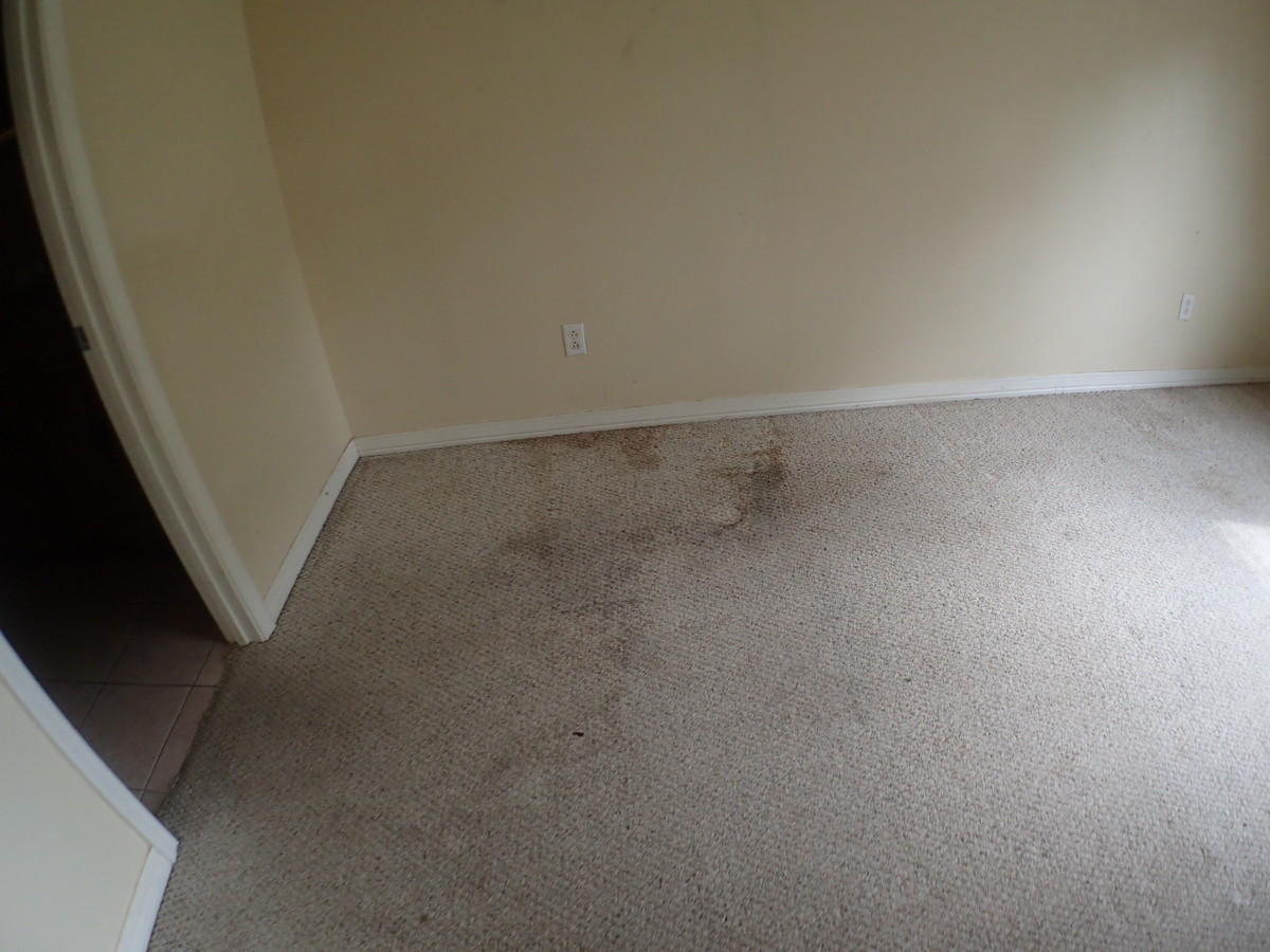 SOUTH POINTE EST. - Residential