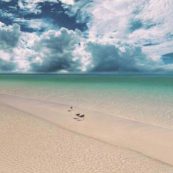 Emerald Waters - Residential