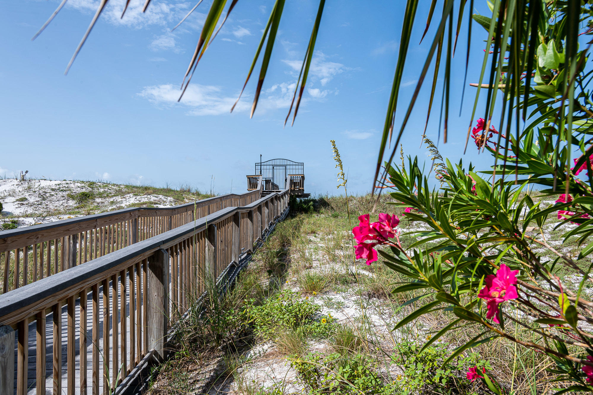 SOUTHWINDS AT SANDESTIN - Residential