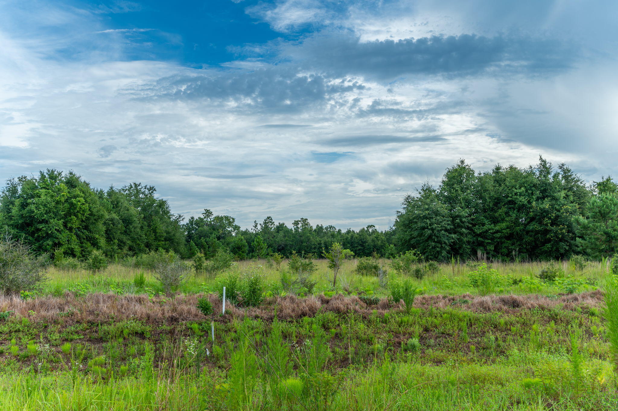 METES & BOUNDS - Land