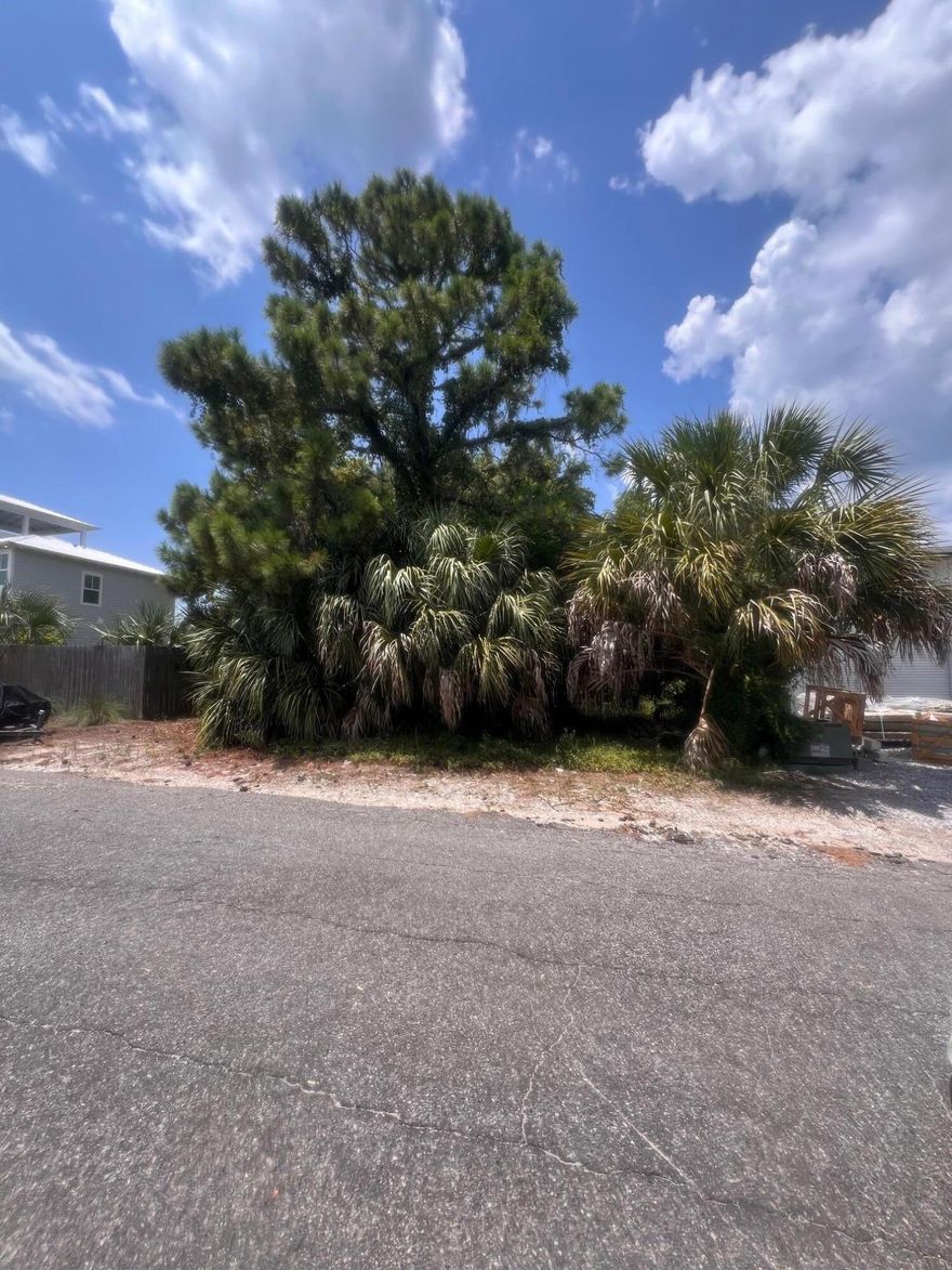 Who doesn't love the quirky brickyard of Blue Mountain.  Great walkability to the newest restaurants along 30A on both the east and west side of the Brickyard.  Along with the new convenience/grocery store opening up in the former Reds building.  Build your own home, great for investors and NO HOA!