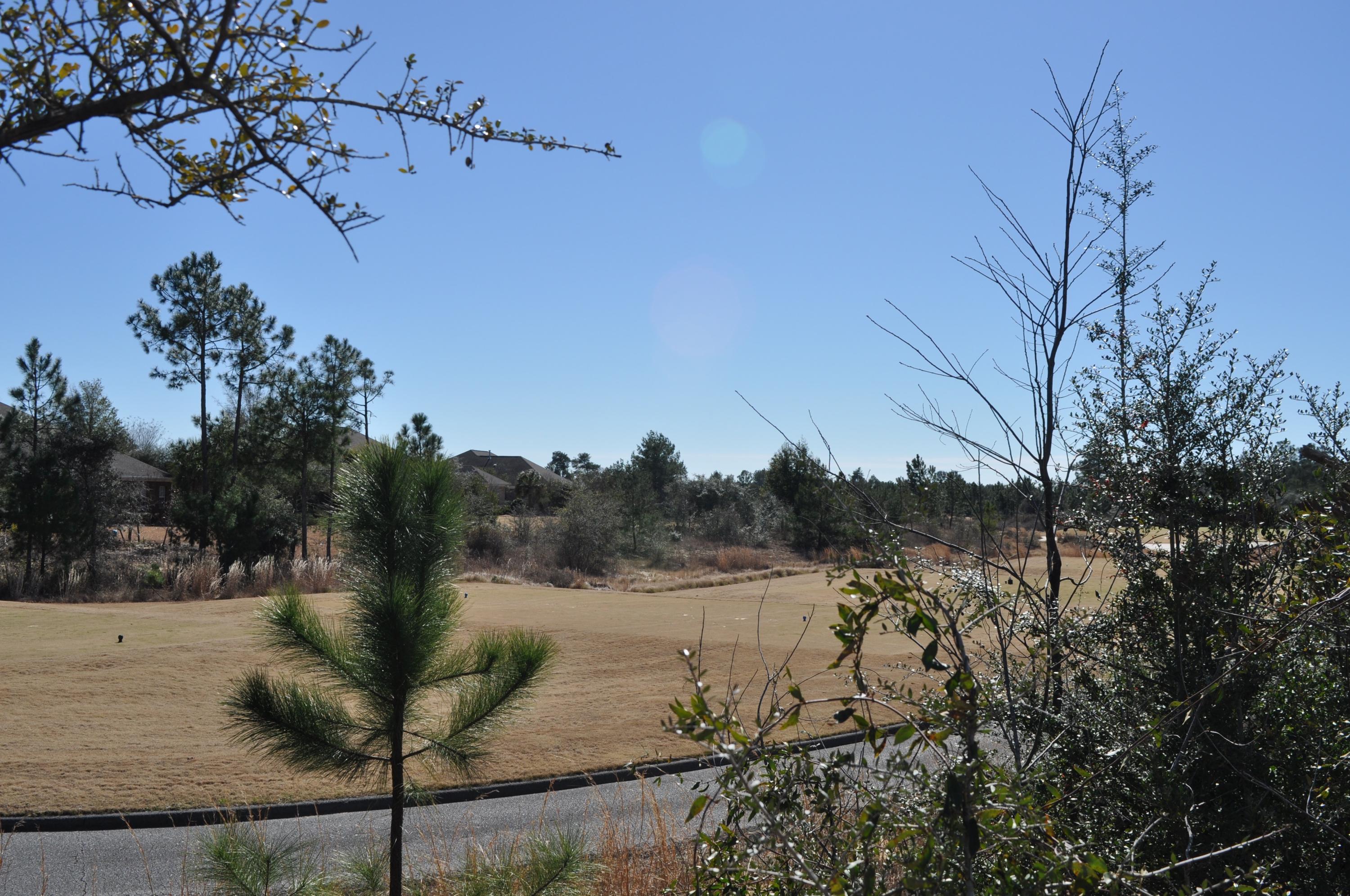 WINDSWEPT ESTATES - Residential