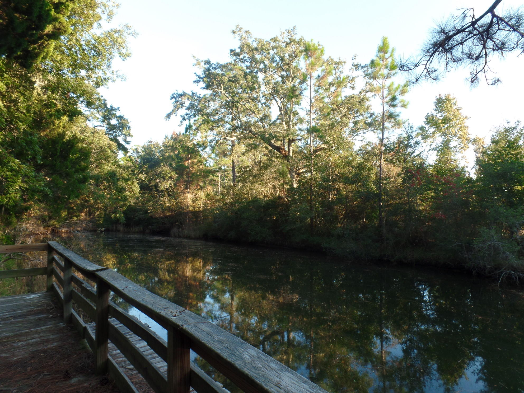 SANTA ROSA BEACH ESTATES - Residential