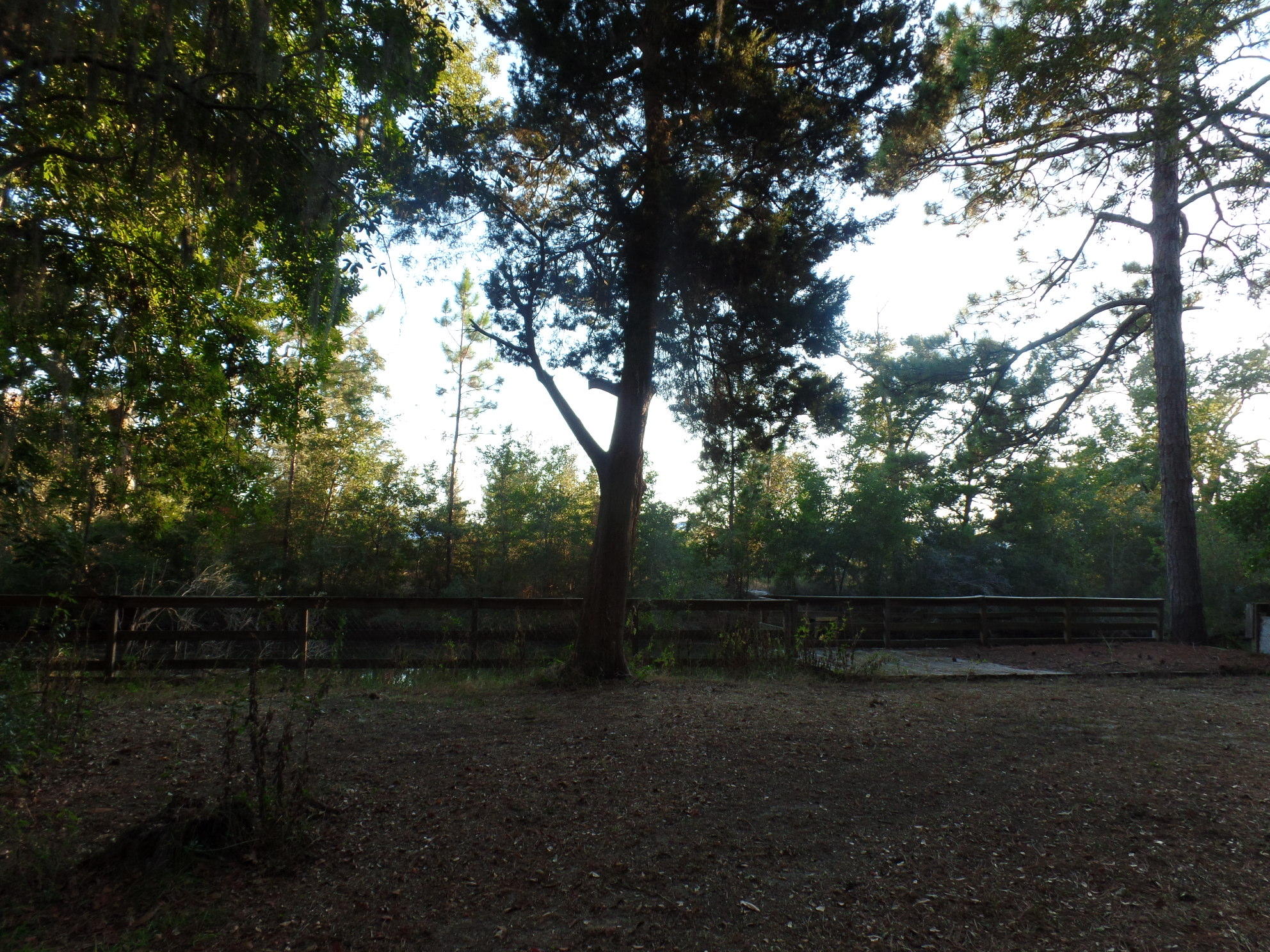 SANTA ROSA BEACH ESTATES - Residential