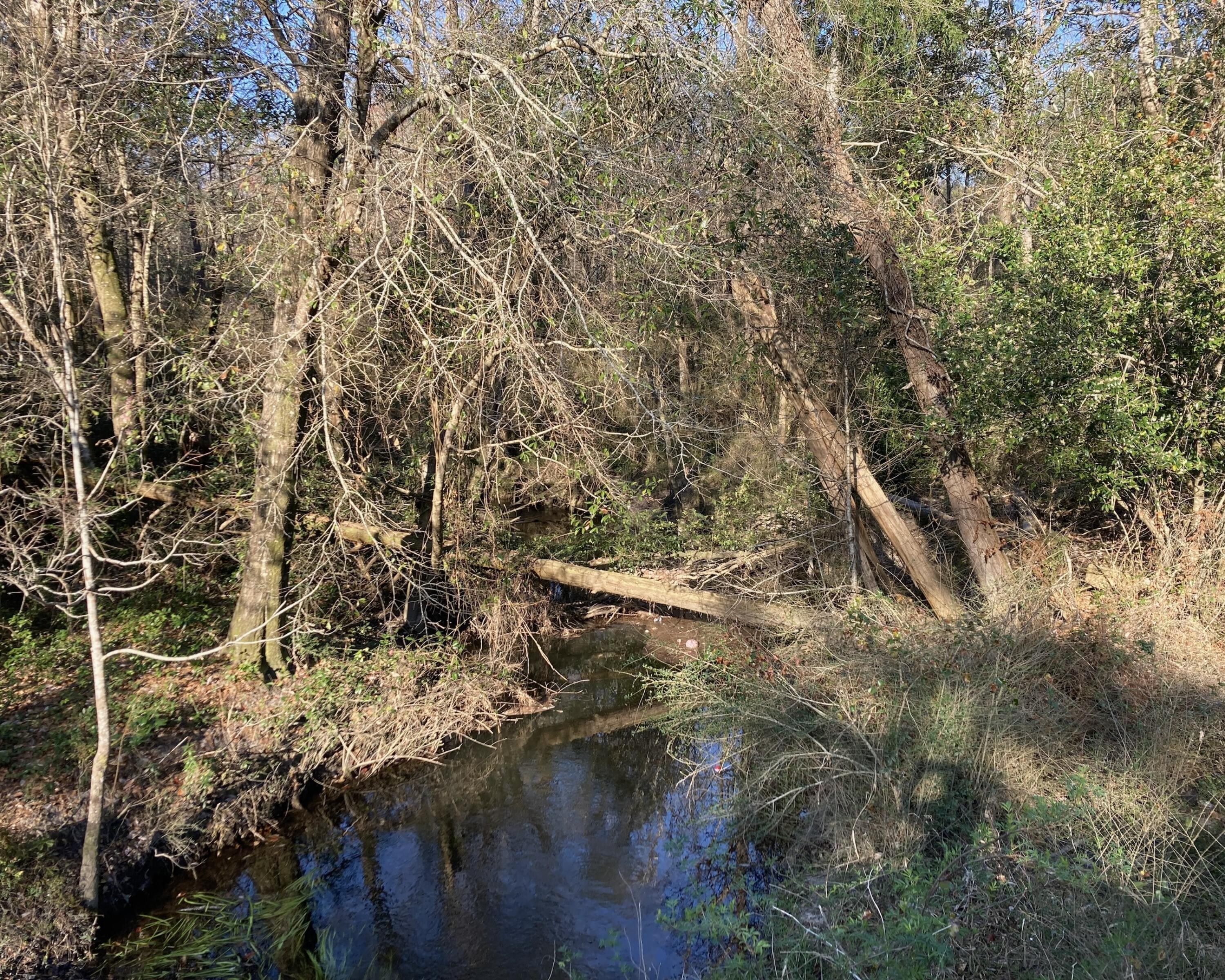 METES & BOUNDS - Land