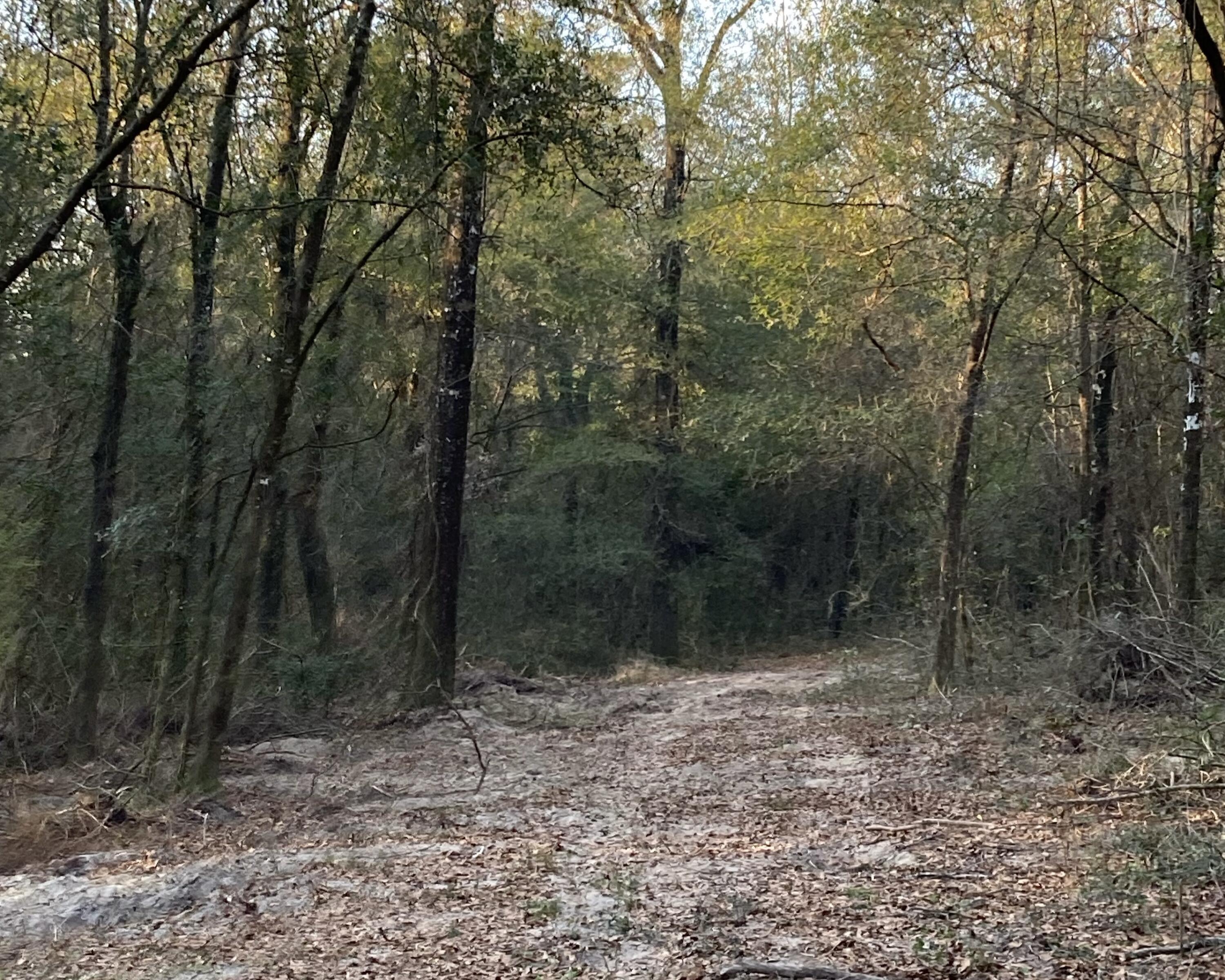 METES & BOUNDS - Land