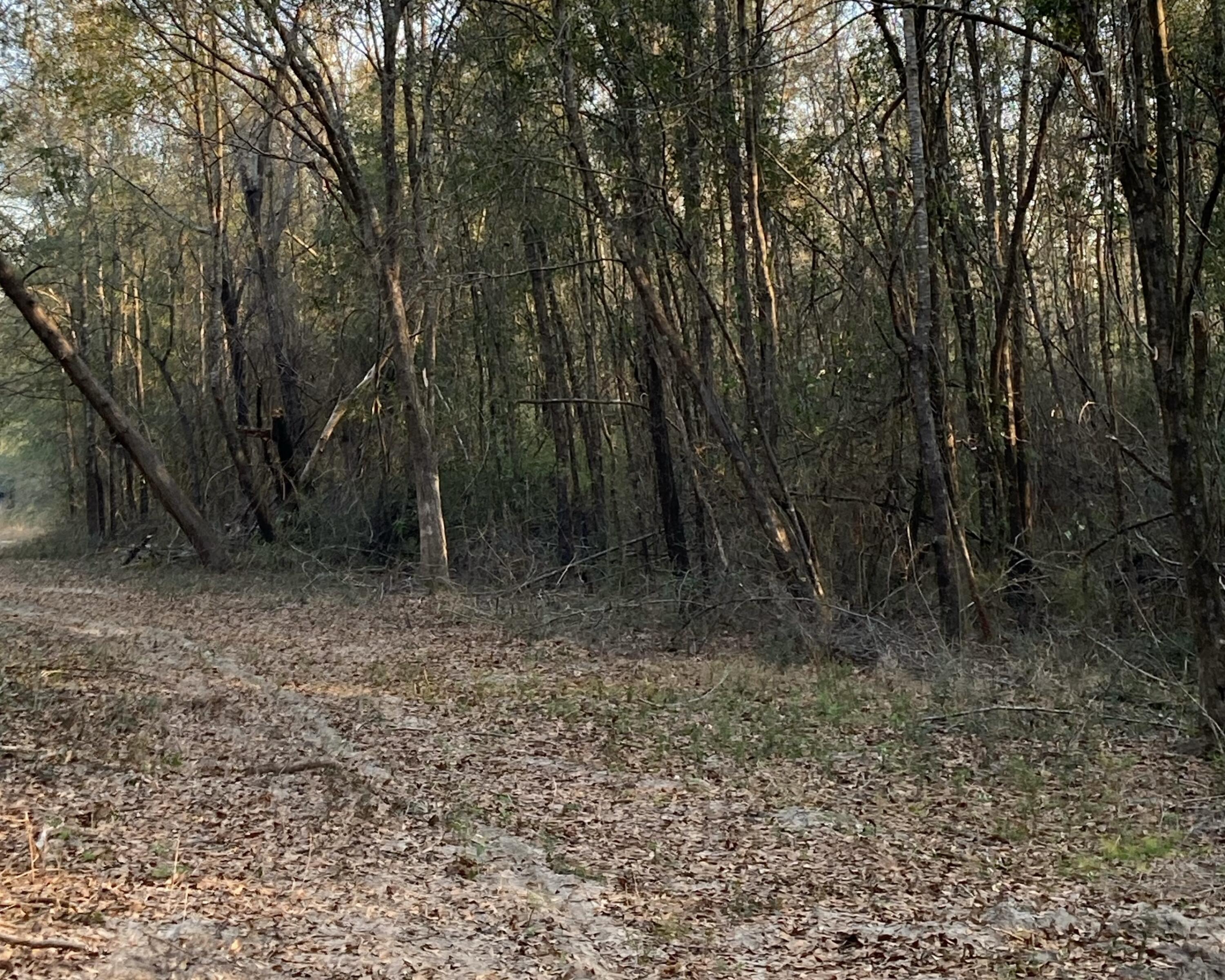 METES & BOUNDS - Land