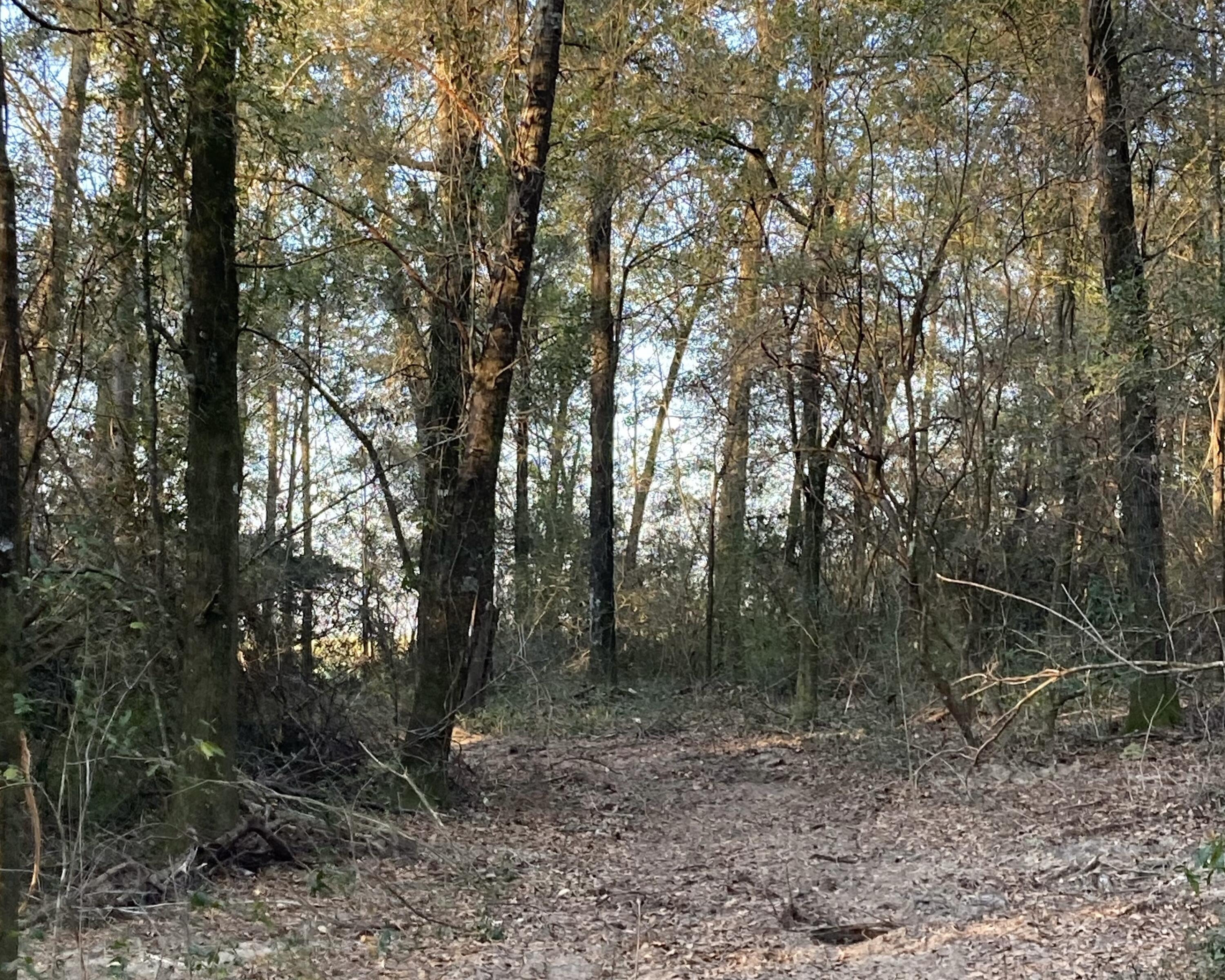 METES & BOUNDS - Land