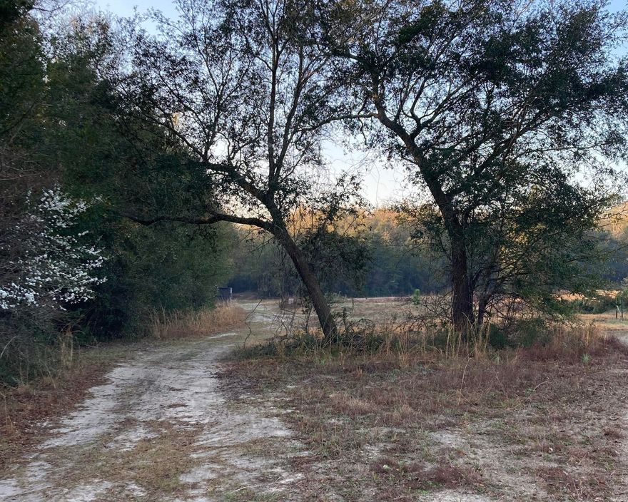 Are you looking for a great location to build your dream home? Look no further because this might the place for you. With over 500 feet of Hwy frontage you will have plenty of access to your future homesite. This ten acre parcel has plenty of space to build on with a creek running through the southeast part of the property. This is a must see property!