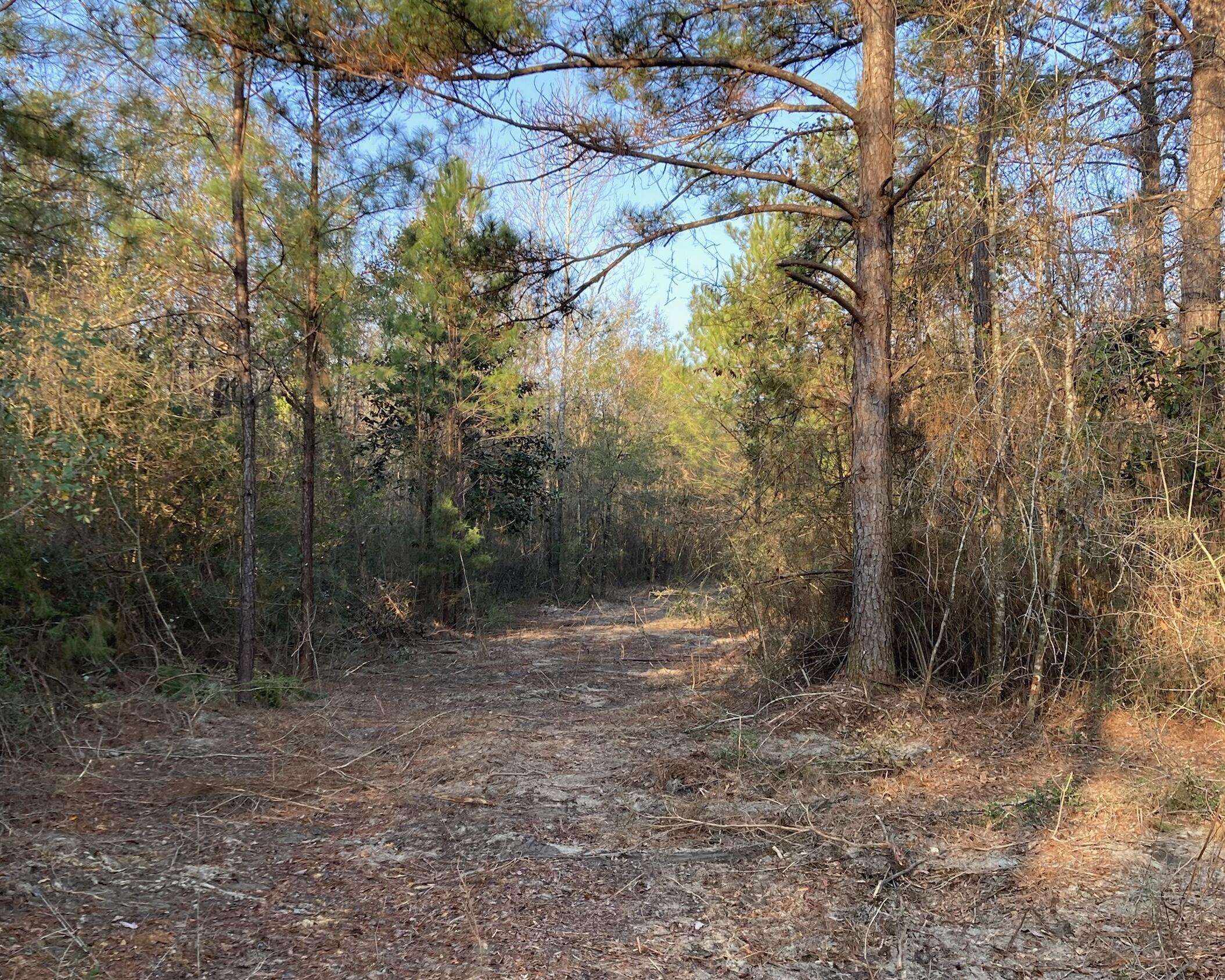 METES & BOUNDS - Land