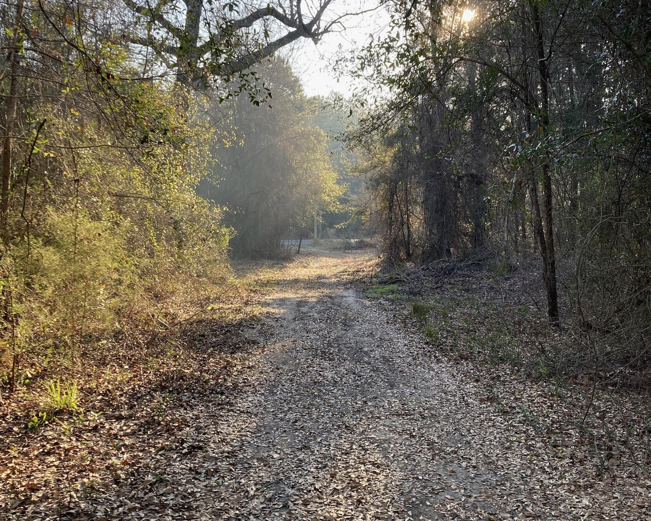 METES & BOUNDS - Land