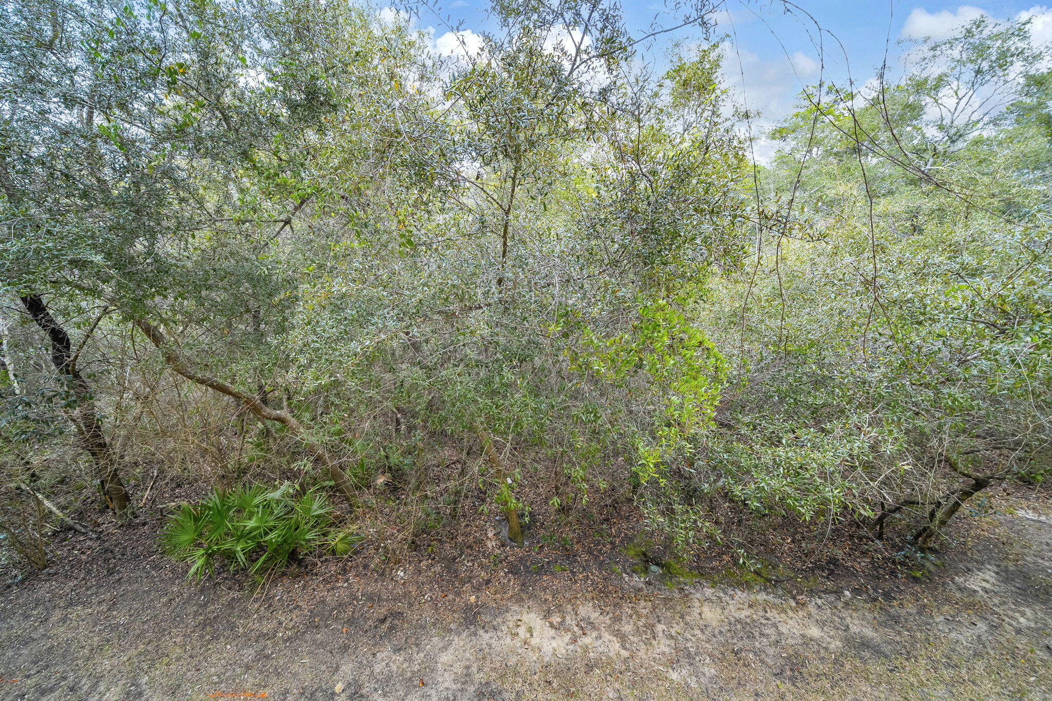 HERONS WATCH CONDO PH 1 - Residential