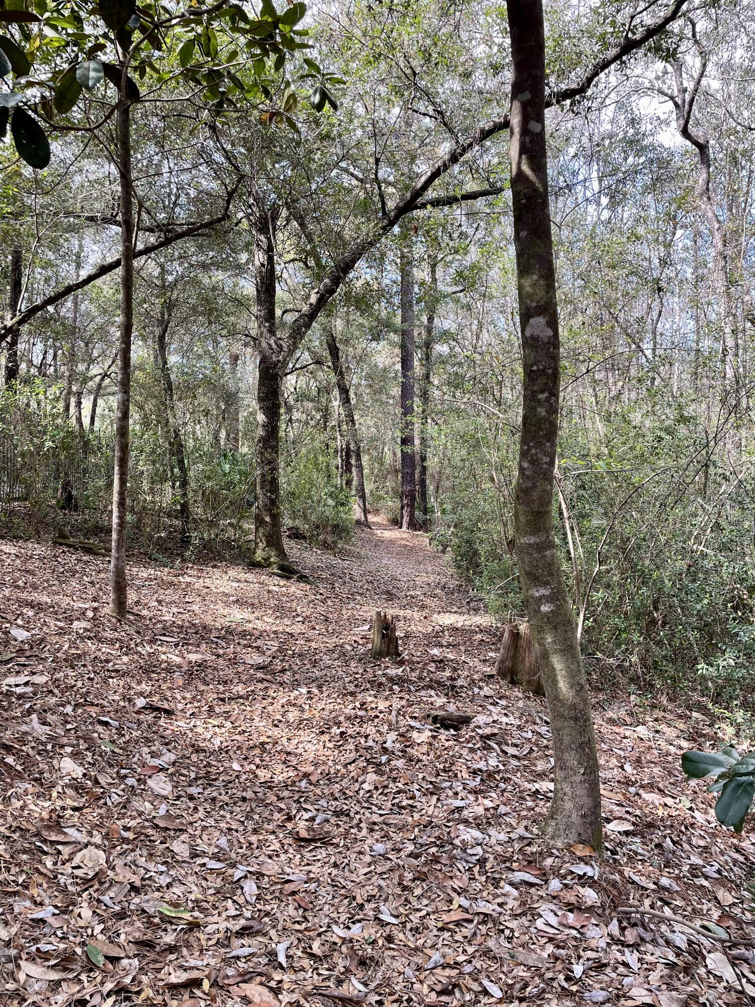 SWIFT CREEK PH 3 - Residential