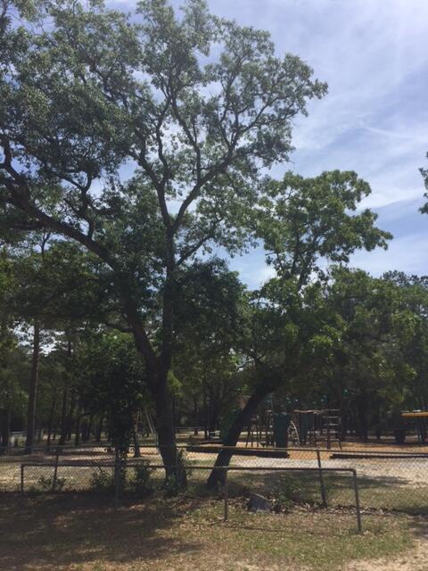 KENWOOD S/D 1ST ADDN - Residential