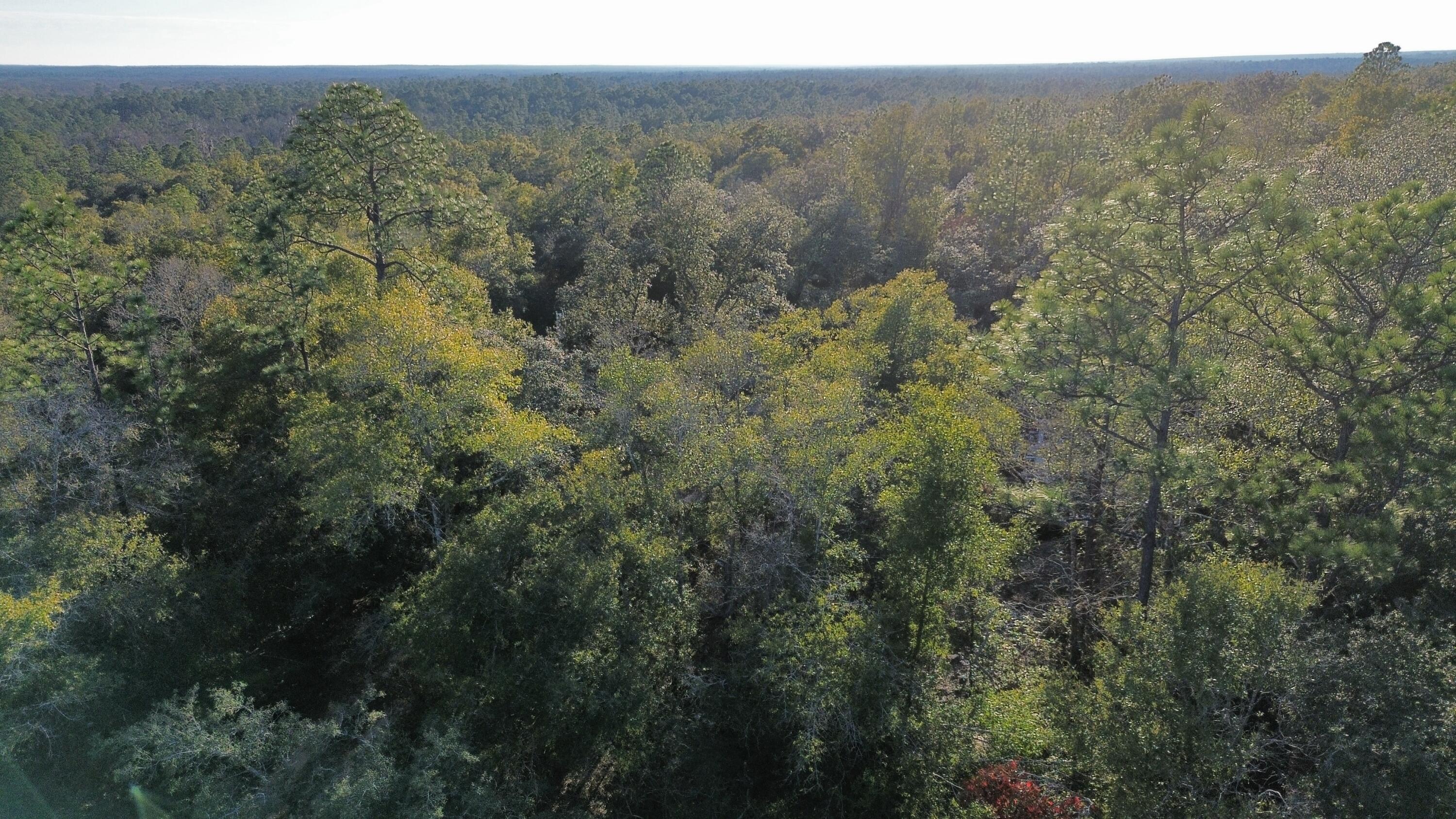 Wooded acreage with wildlife.  Unrecorded county road runs east to west through property.  Survey and easement not completed.  No HOA.