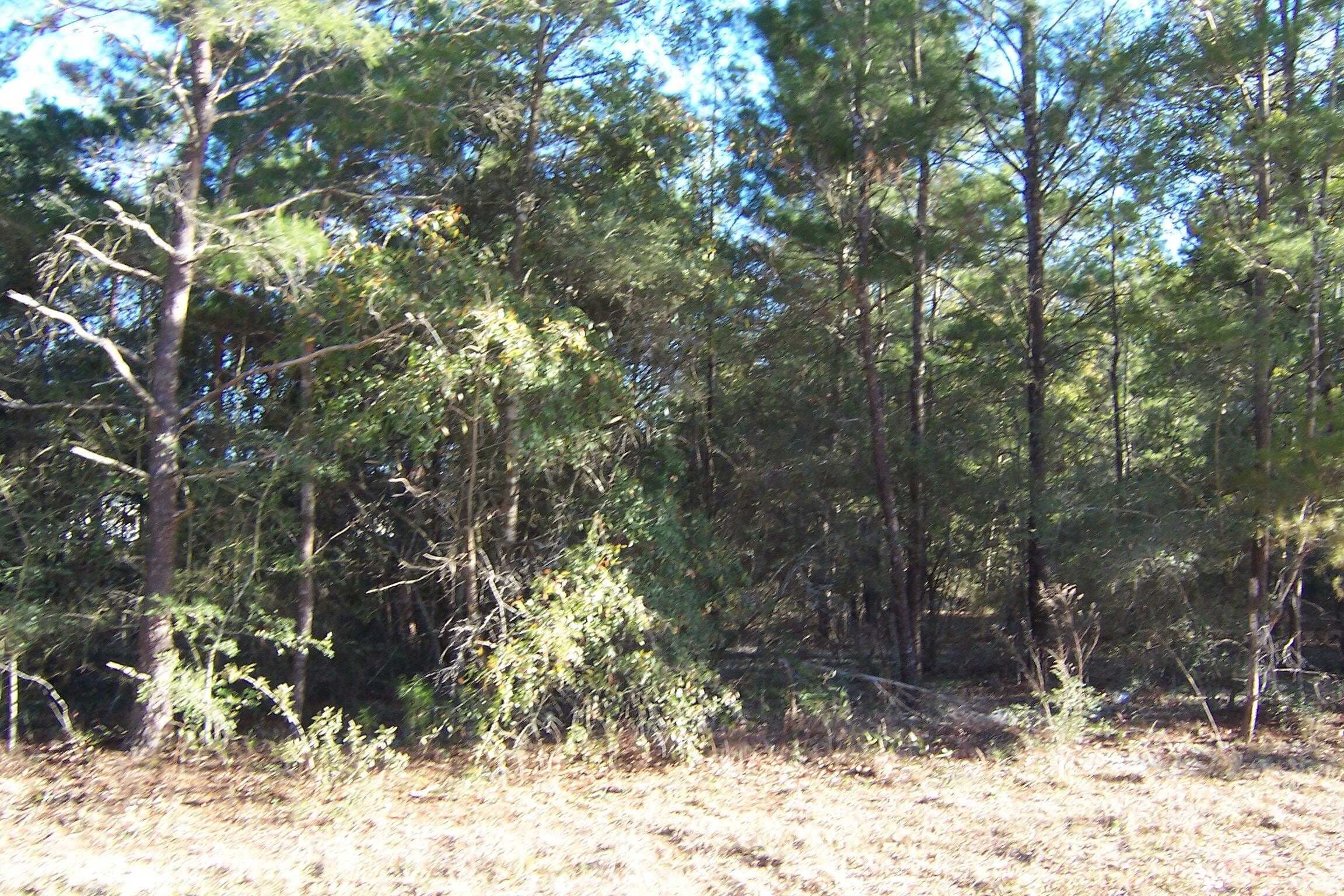 Juniper Lake Estates Unit 6 of Oakwood Hills - Land