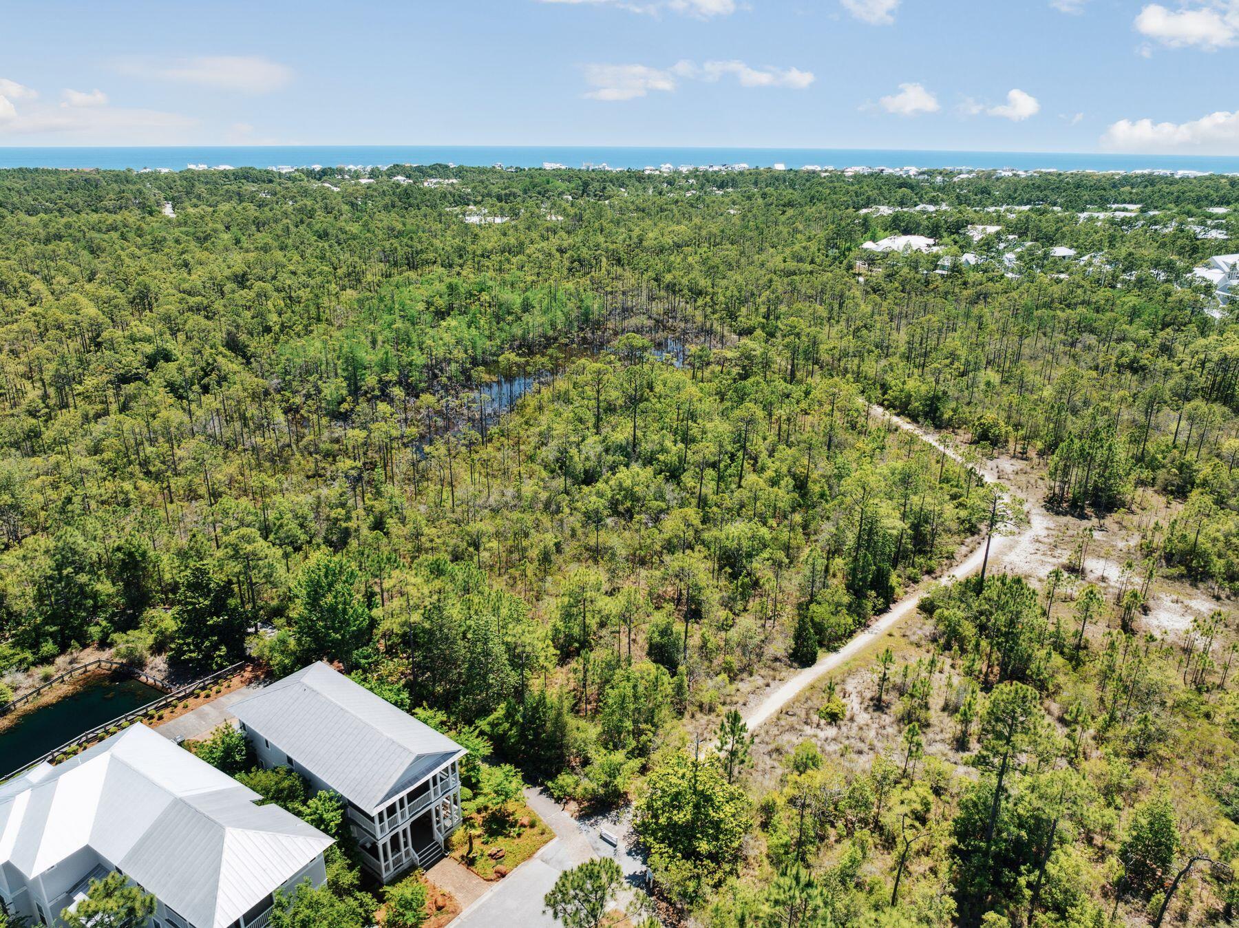 NATUREWALK AT SEAGROVE - Residential