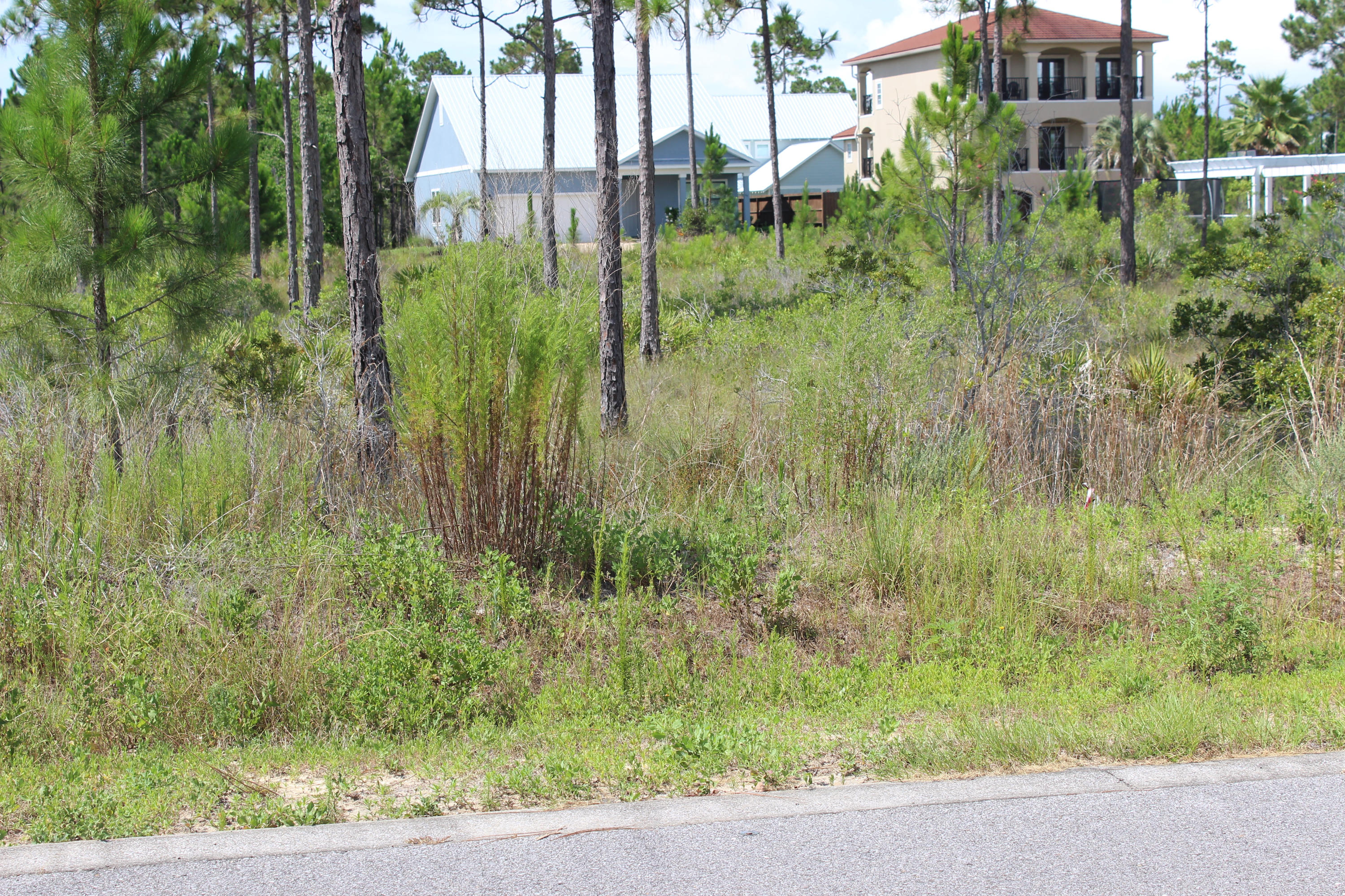 CYPRESS BREEZE PLANTATION - Land