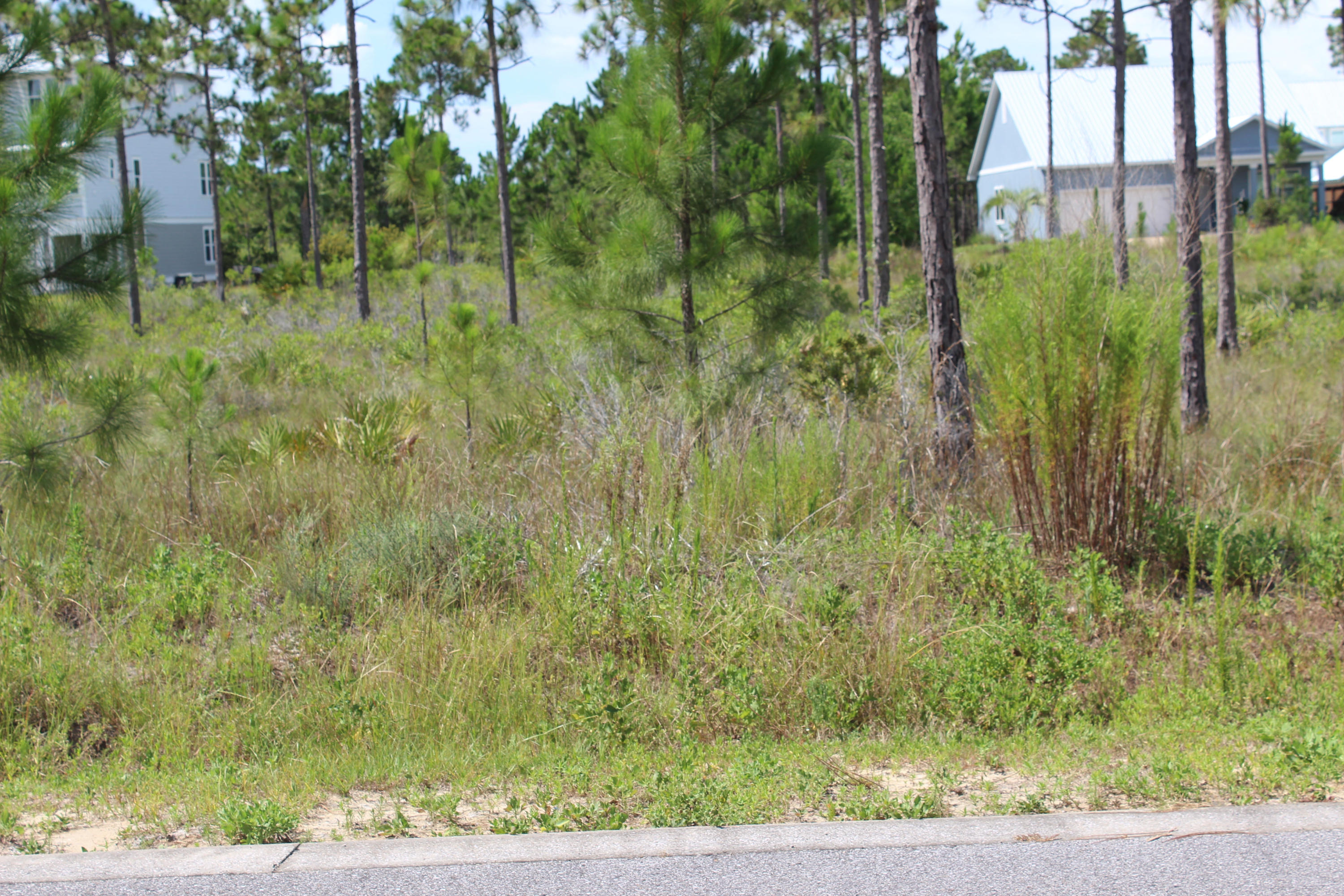 CYPRESS BREEZE PLANTATION - Land