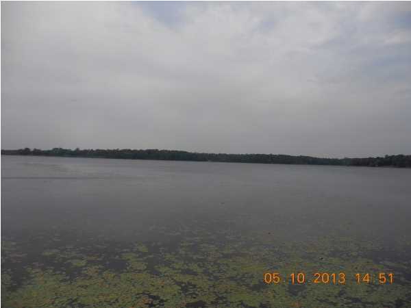 HOLLEY FAMILY PH 2 - Land