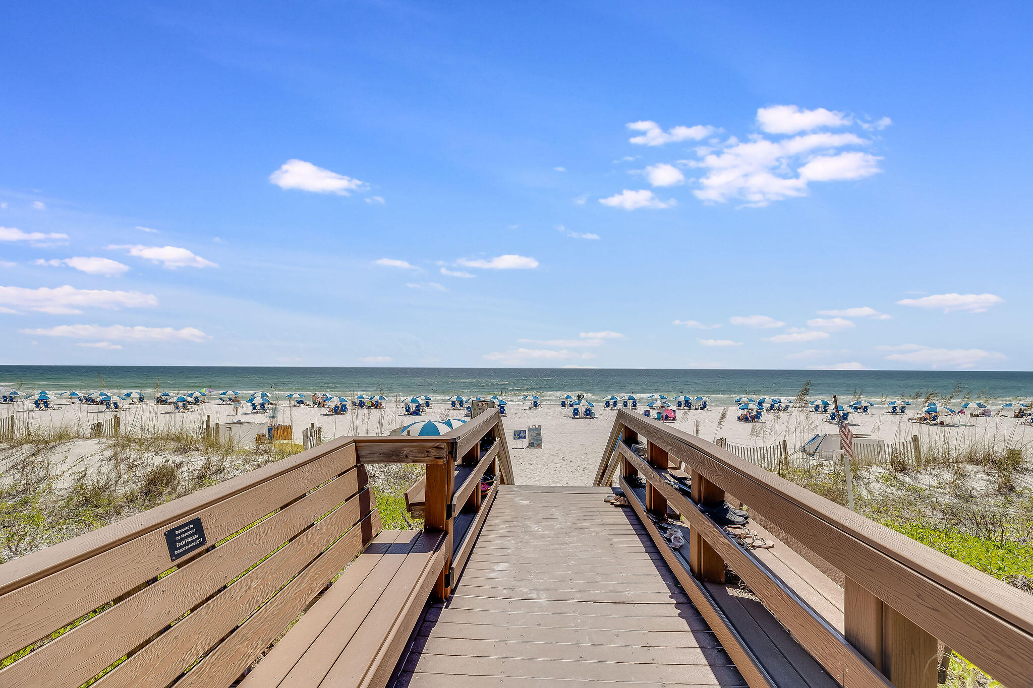 ISLAND PRINCESS - Residential