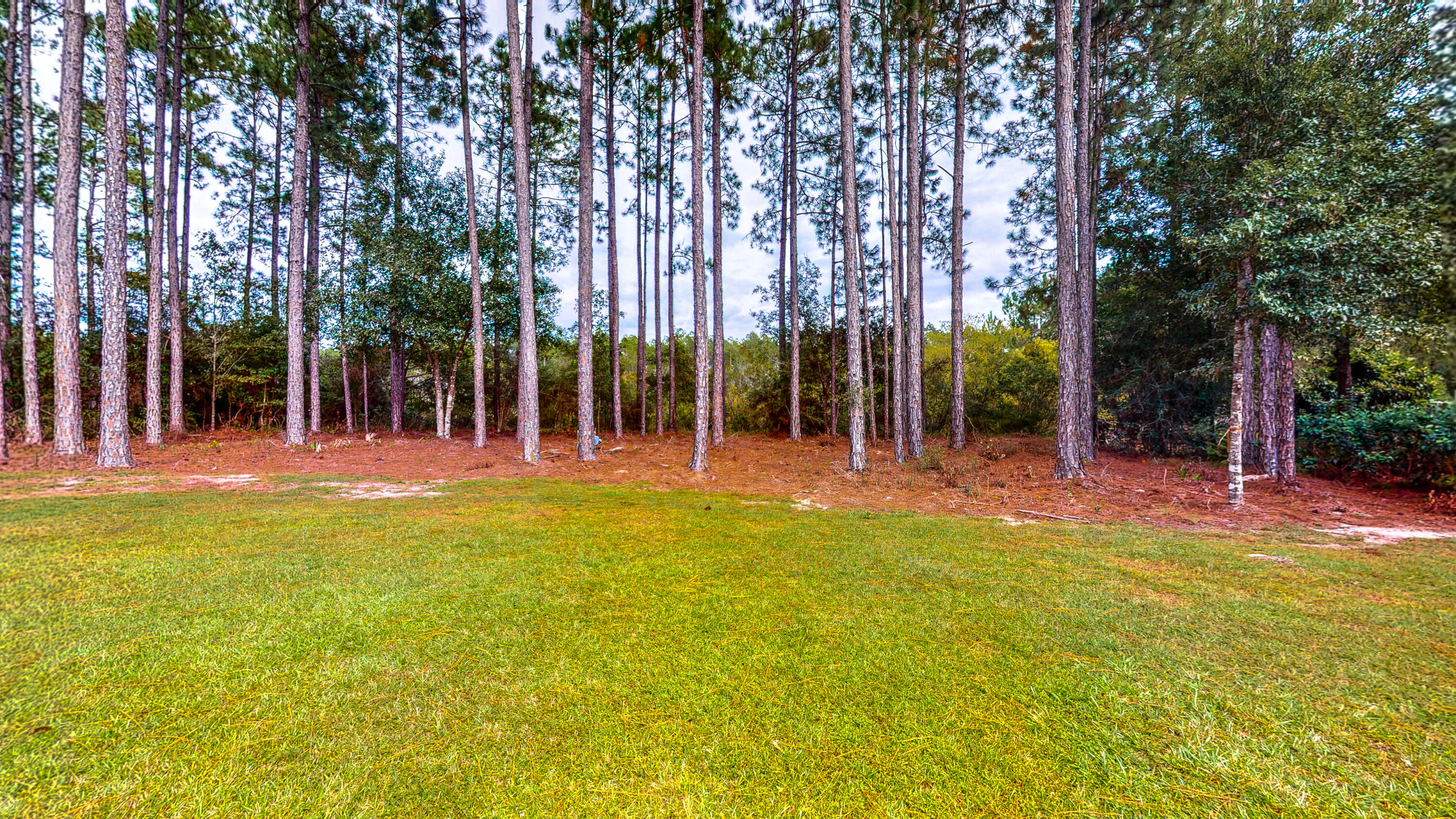 WINDSWEPT ESTATES - Residential Lease