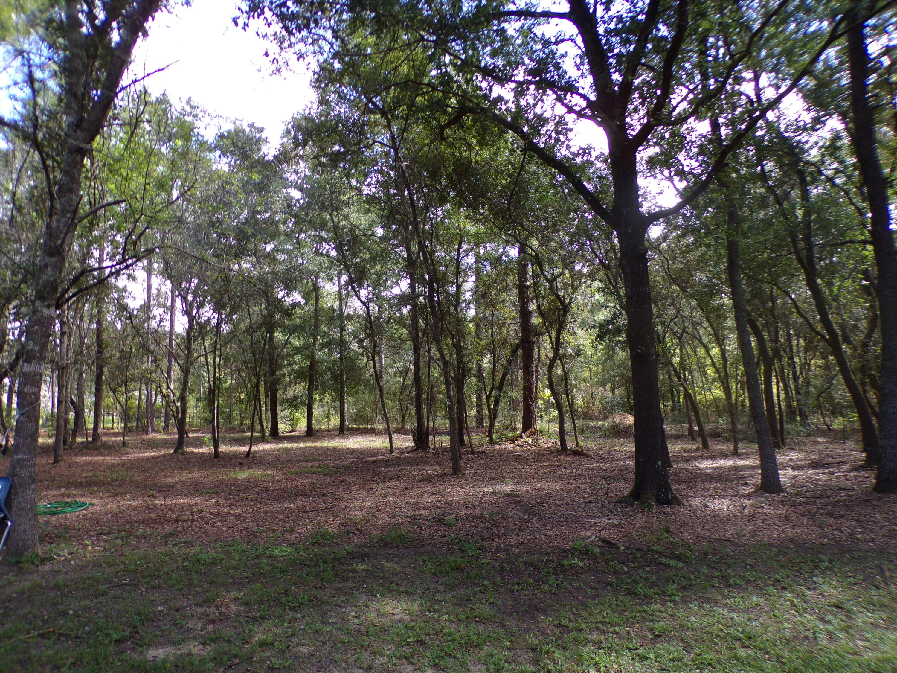 WREN ACRES - Residential