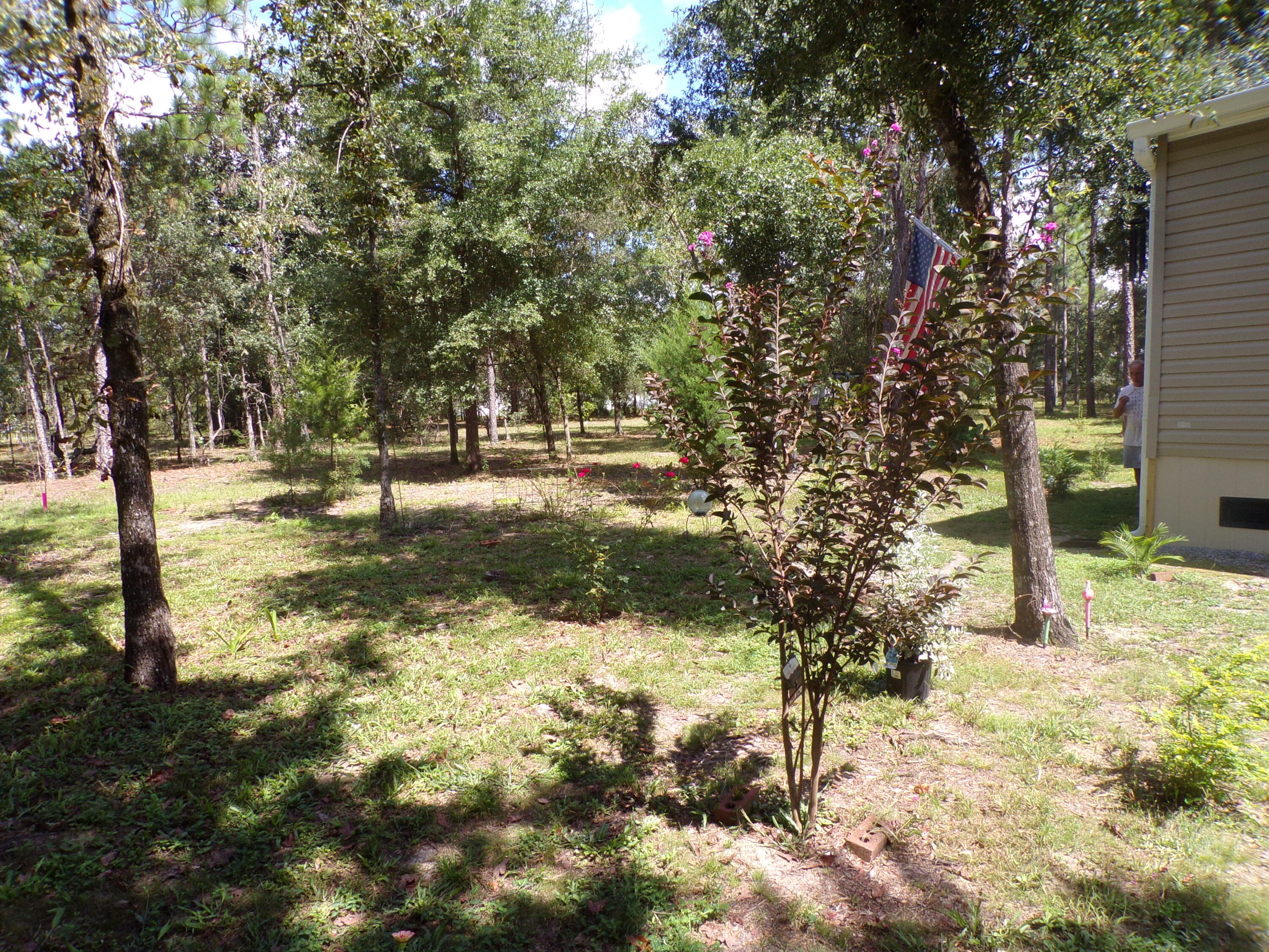 WREN ACRES - Residential