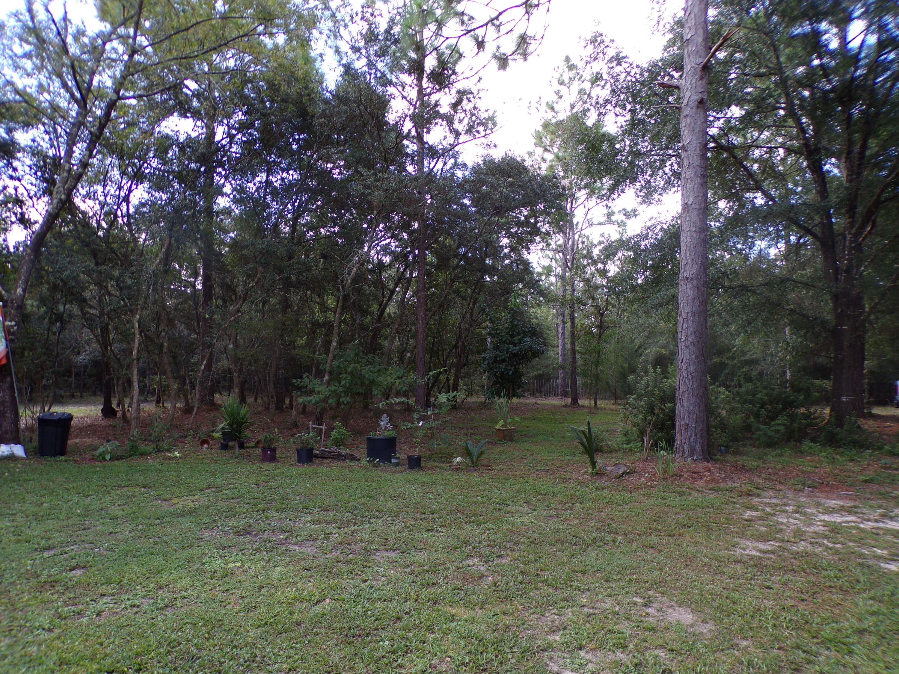 WREN ACRES - Residential