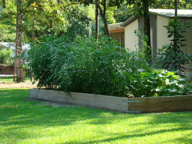 MAGNOLIA BAYE - Residential