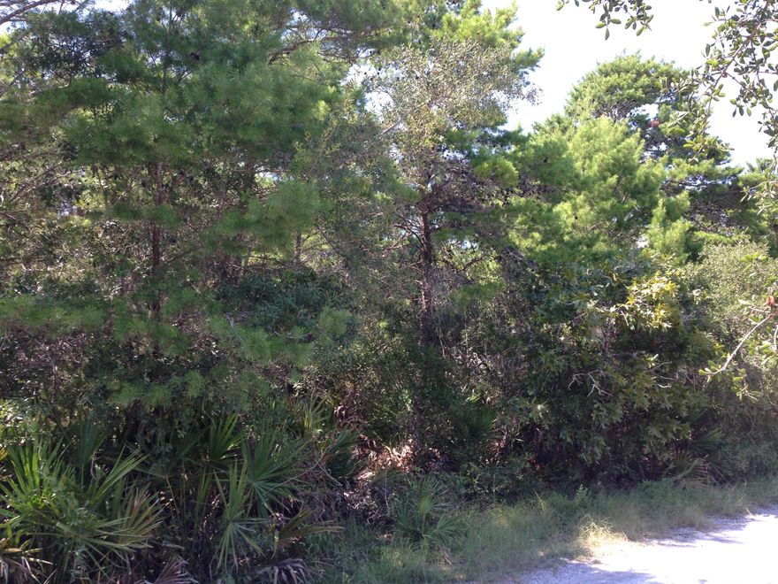 Beautiful wooded lot in Seagrove south of 30A and a very short 0.2 mile walk to the beach. 2 deeded beach accesses, one that borders Eastern Lake and the other that is the typical beach access.