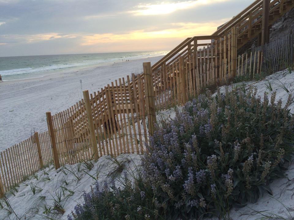 Sun Gulf - Residential